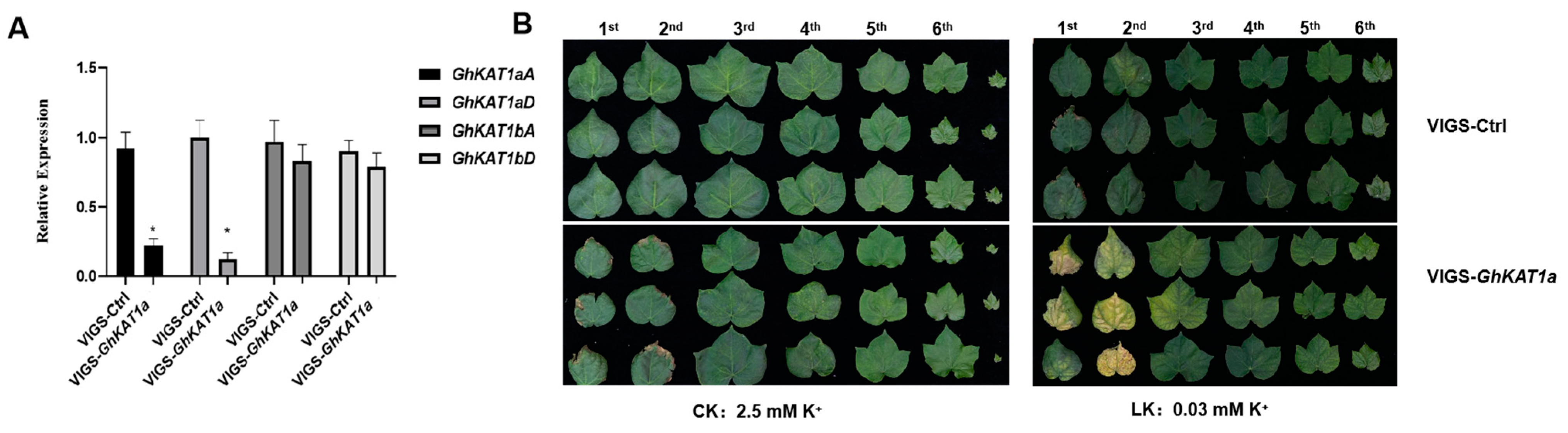 Life 13 01461 g011 Life 13 01461 g011