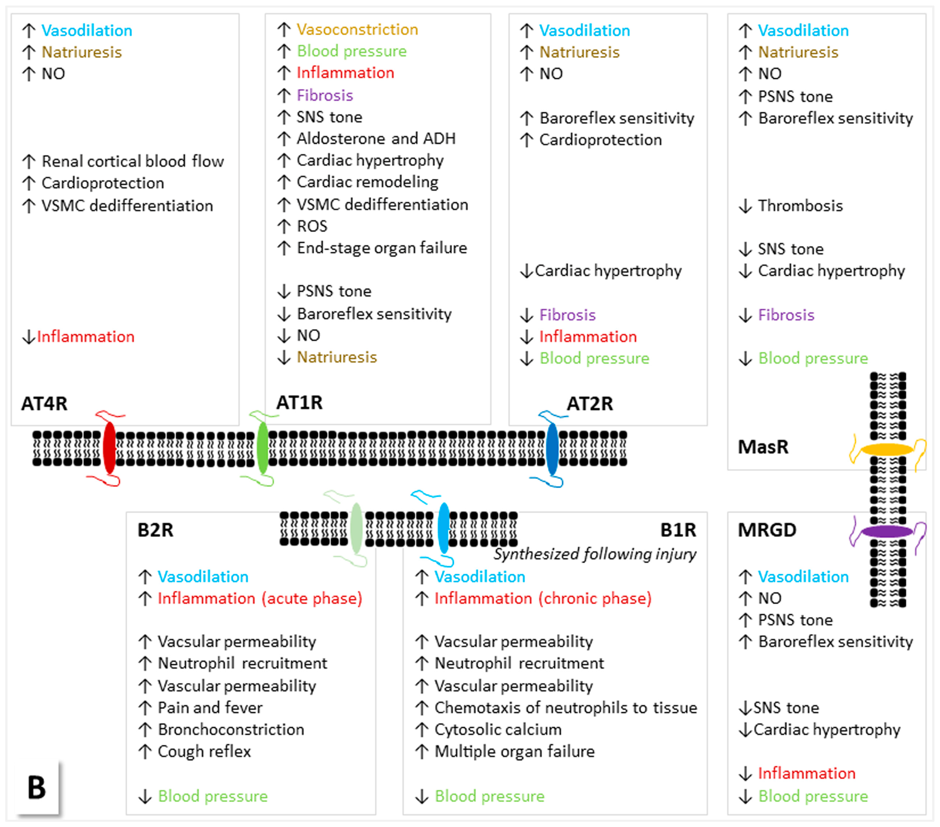 Life 13 01462 g001b Life 13 01462 g001b