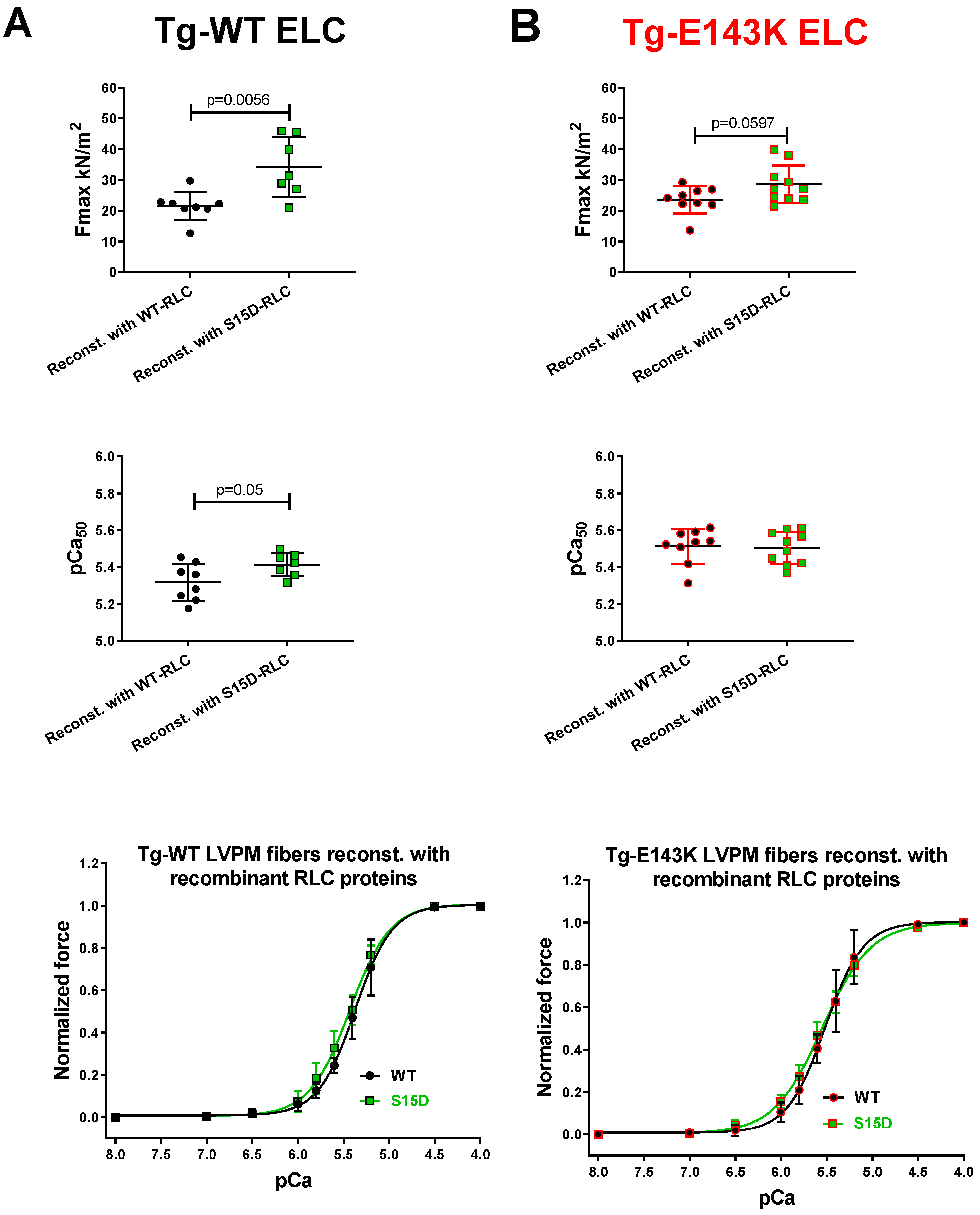 Life 13 01463 g001 Life 13 01463 g001