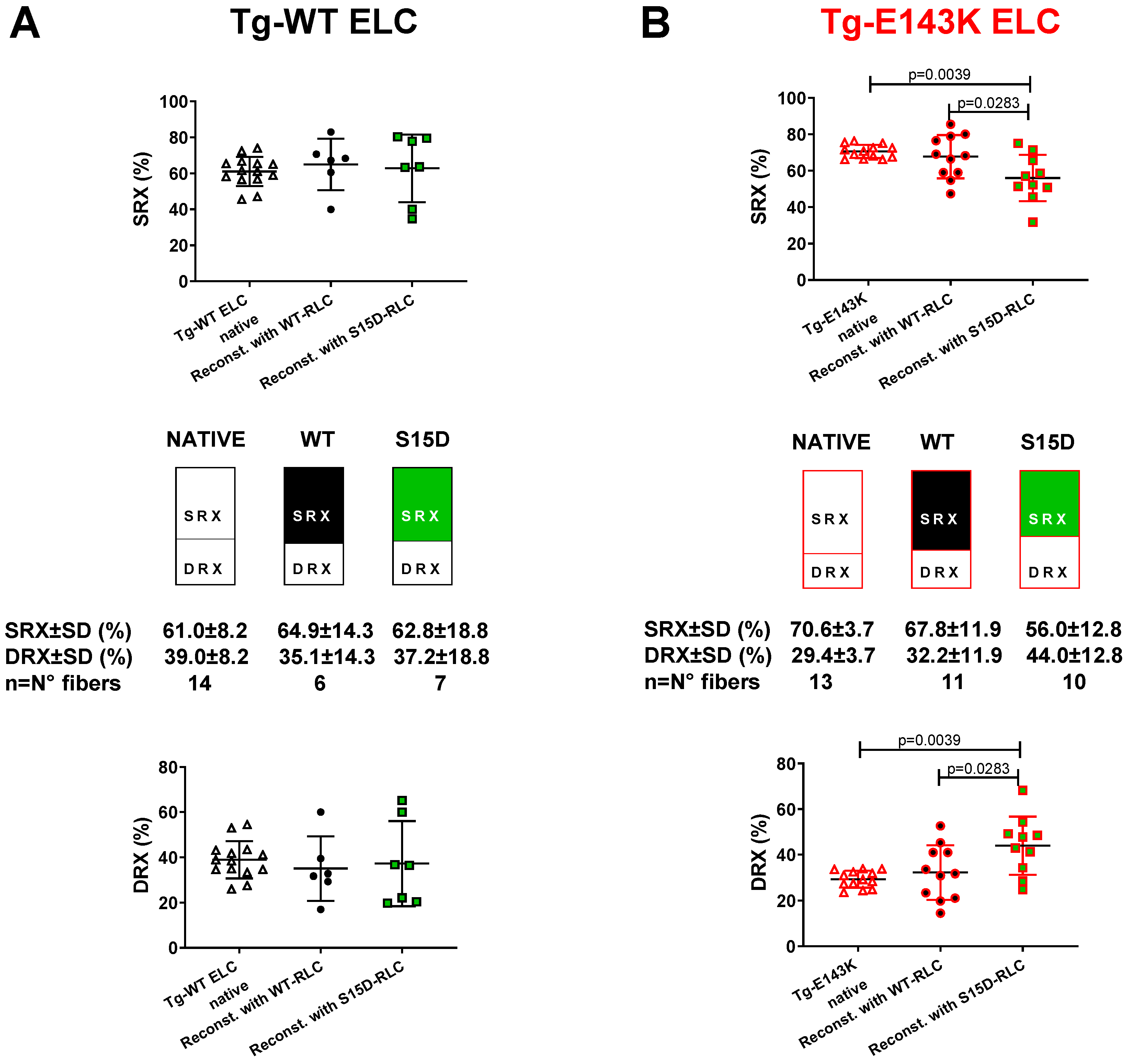 Life 13 01463 g002 Life 13 01463 g002