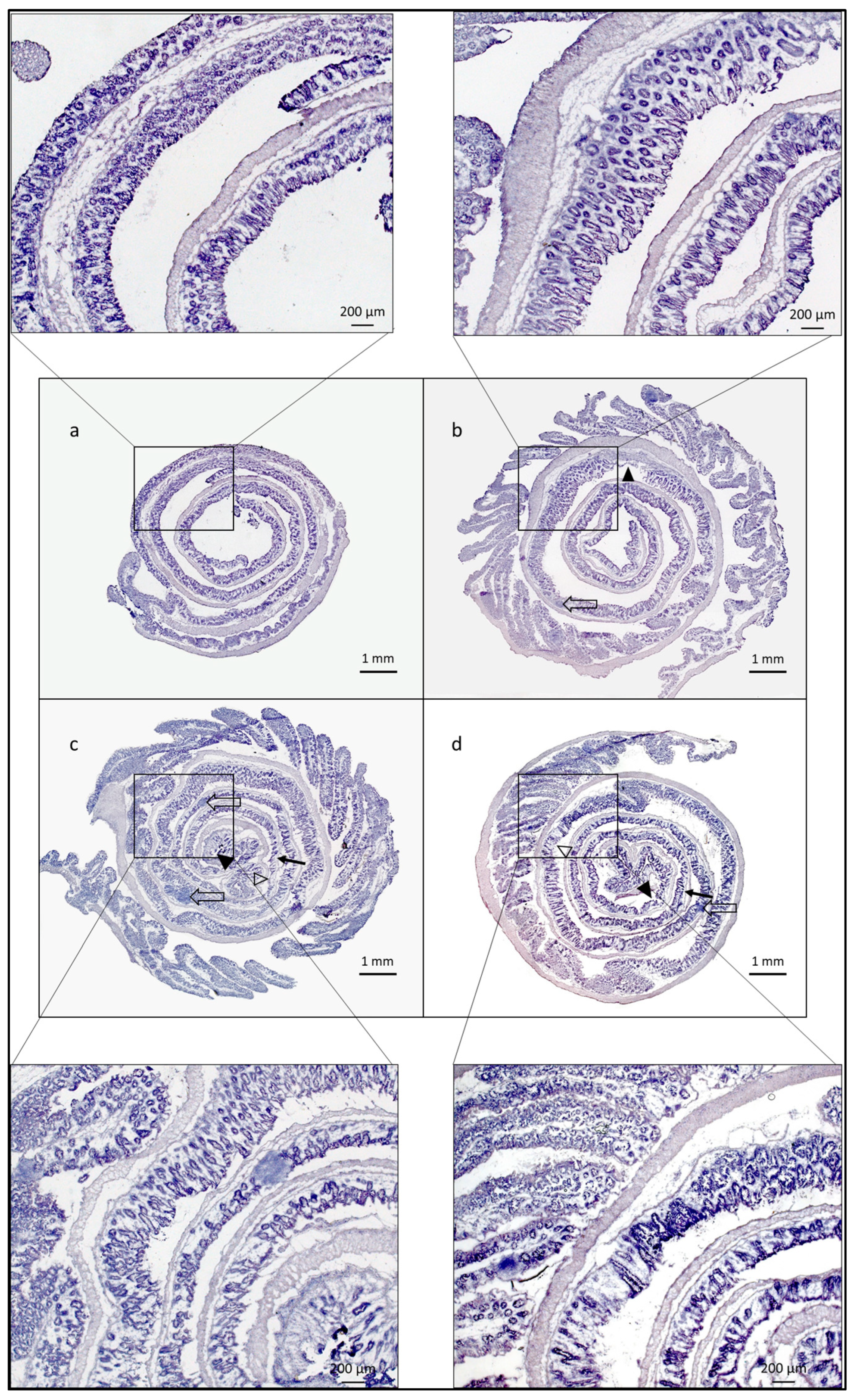 Life 13 01464 g002 Life 13 01464 g002