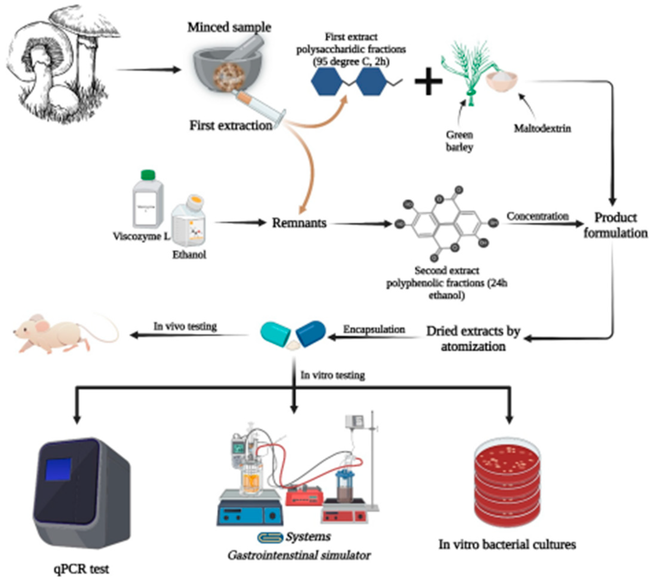 Life 13 01481 g001 Life 13 01481 g001