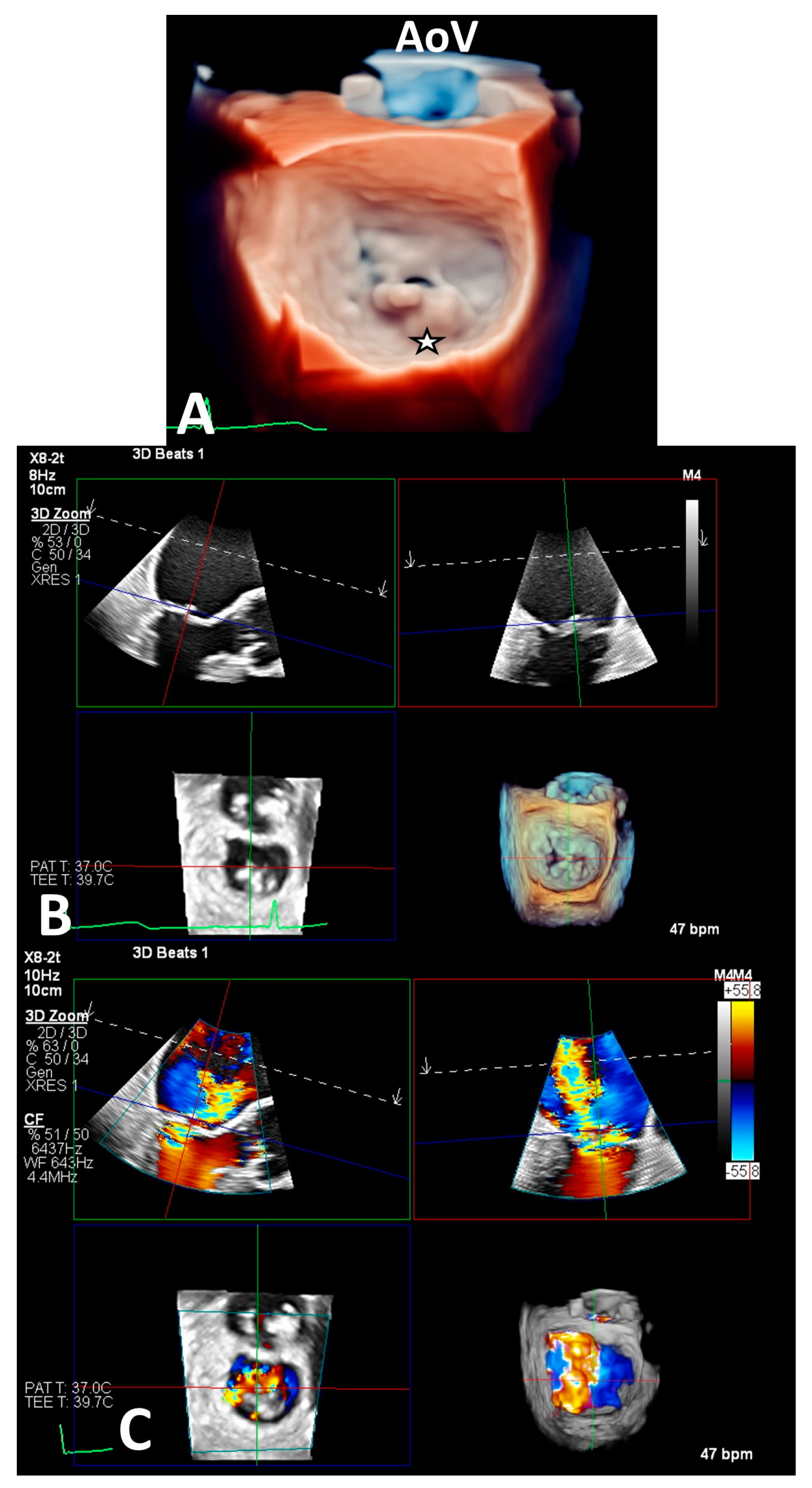 Life 13 01511 g001 Life 13 01511 g001