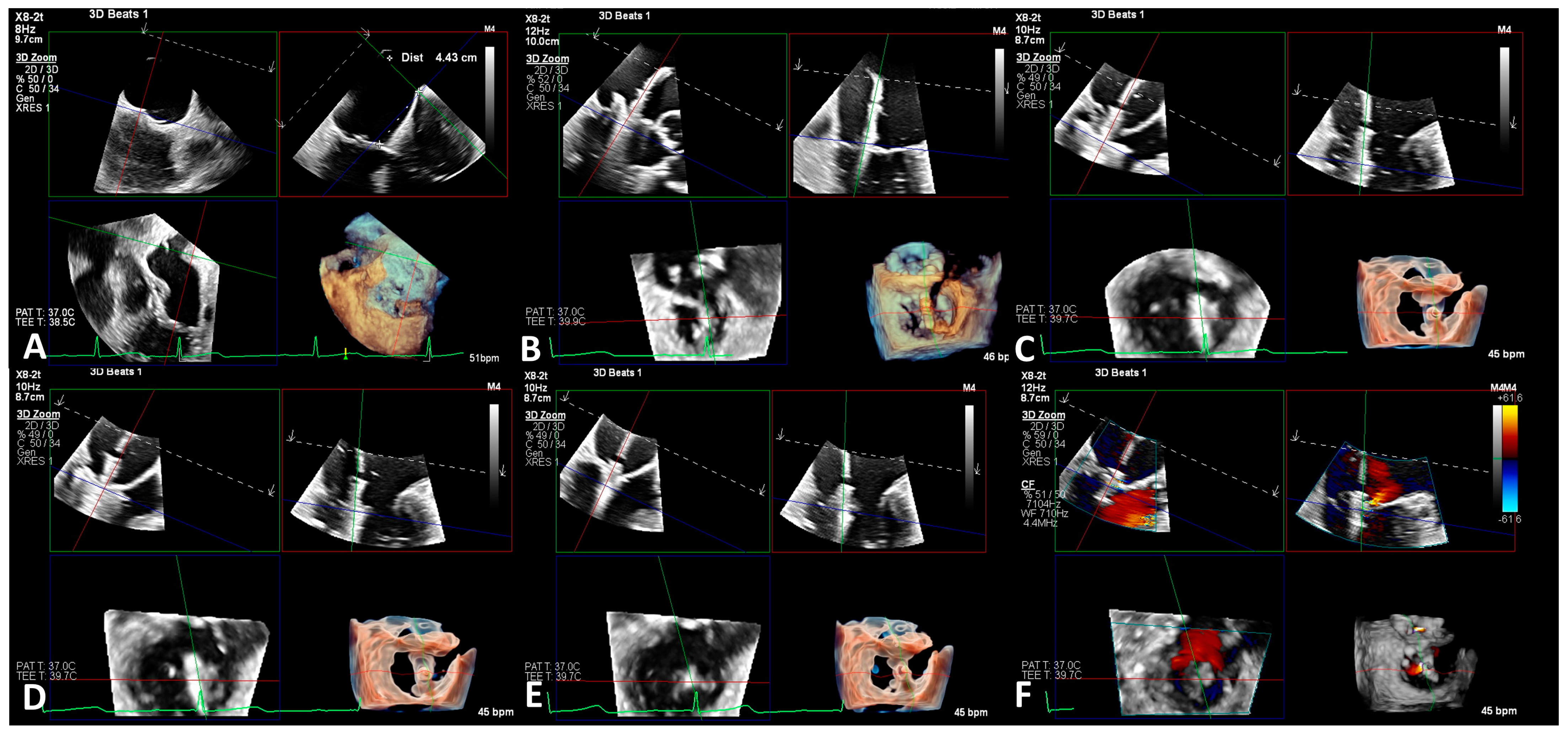 Life 13 01511 g002 Life 13 01511 g002