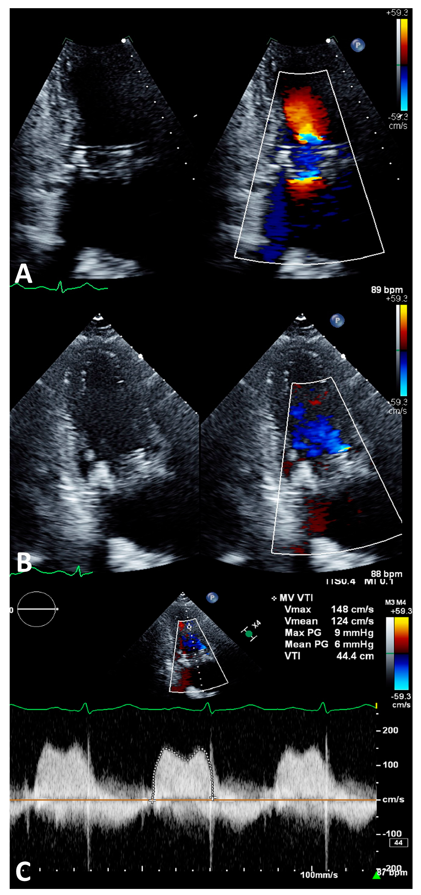 Life 13 01511 g006 Life 13 01511 g006