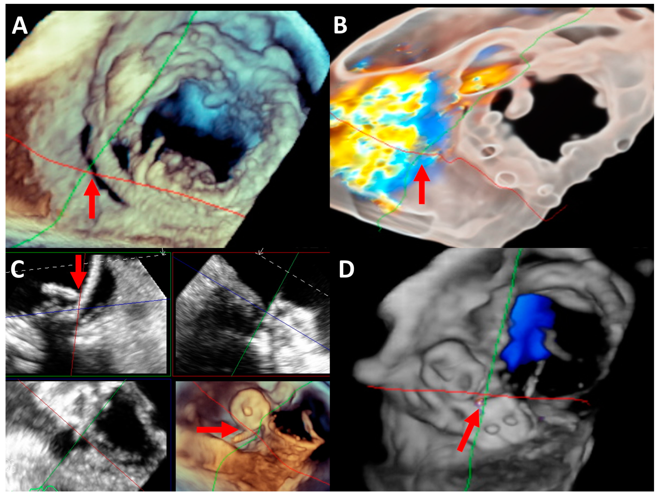 Life 13 01511 g007 Life 13 01511 g007
