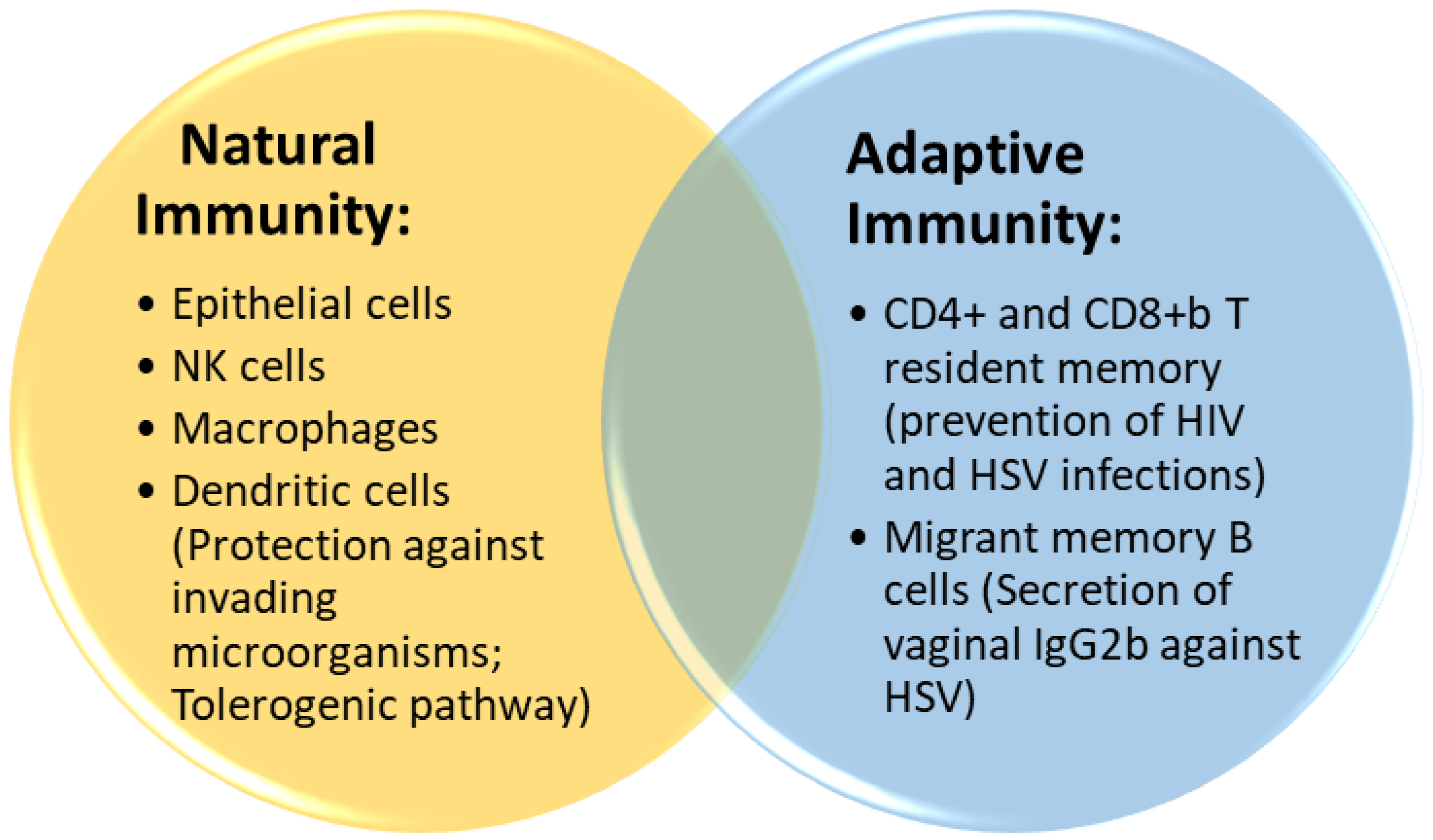 How Stealthy HIV Evades Drugs and Immunity