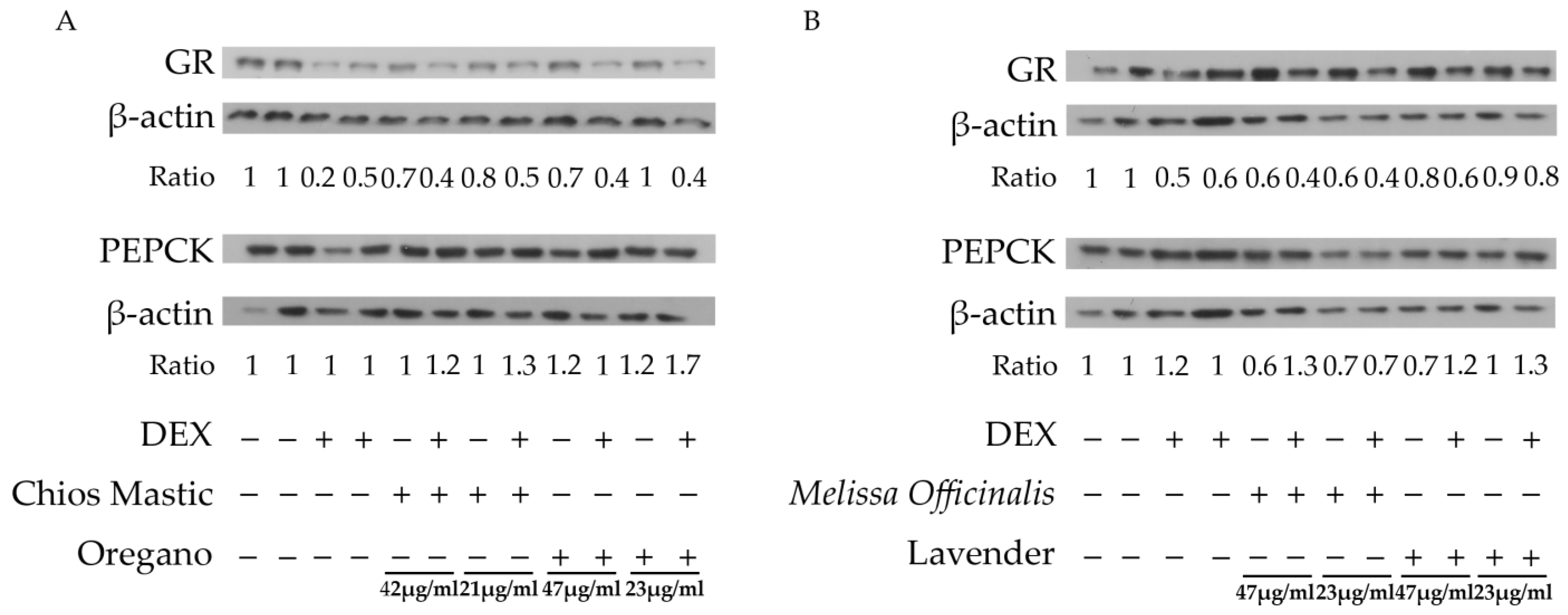 Life 13 01534 g004 Life 13 01534 g004