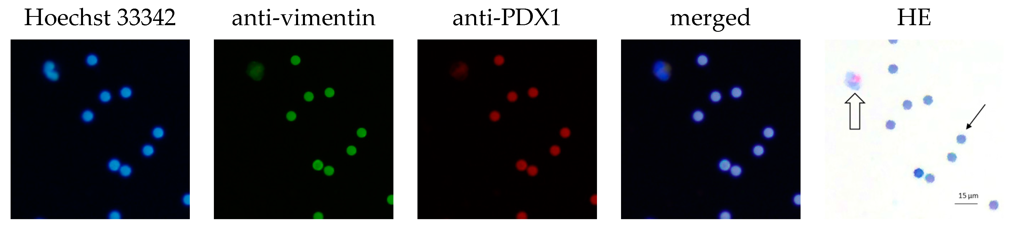 Life 13 01570 g007 Life 13 01570 g007