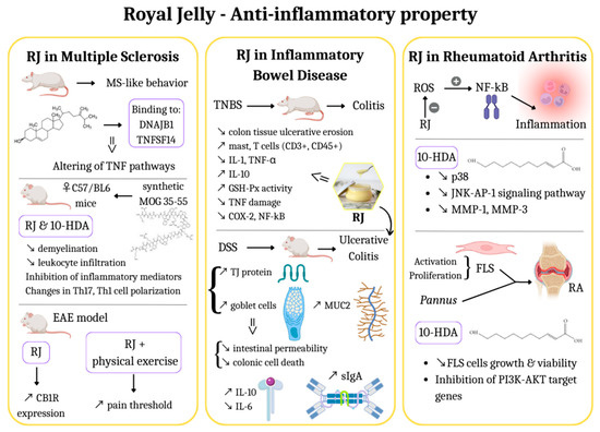 Molecular Insights into Royal Jelly Anti-Inflammatory Properties and ...