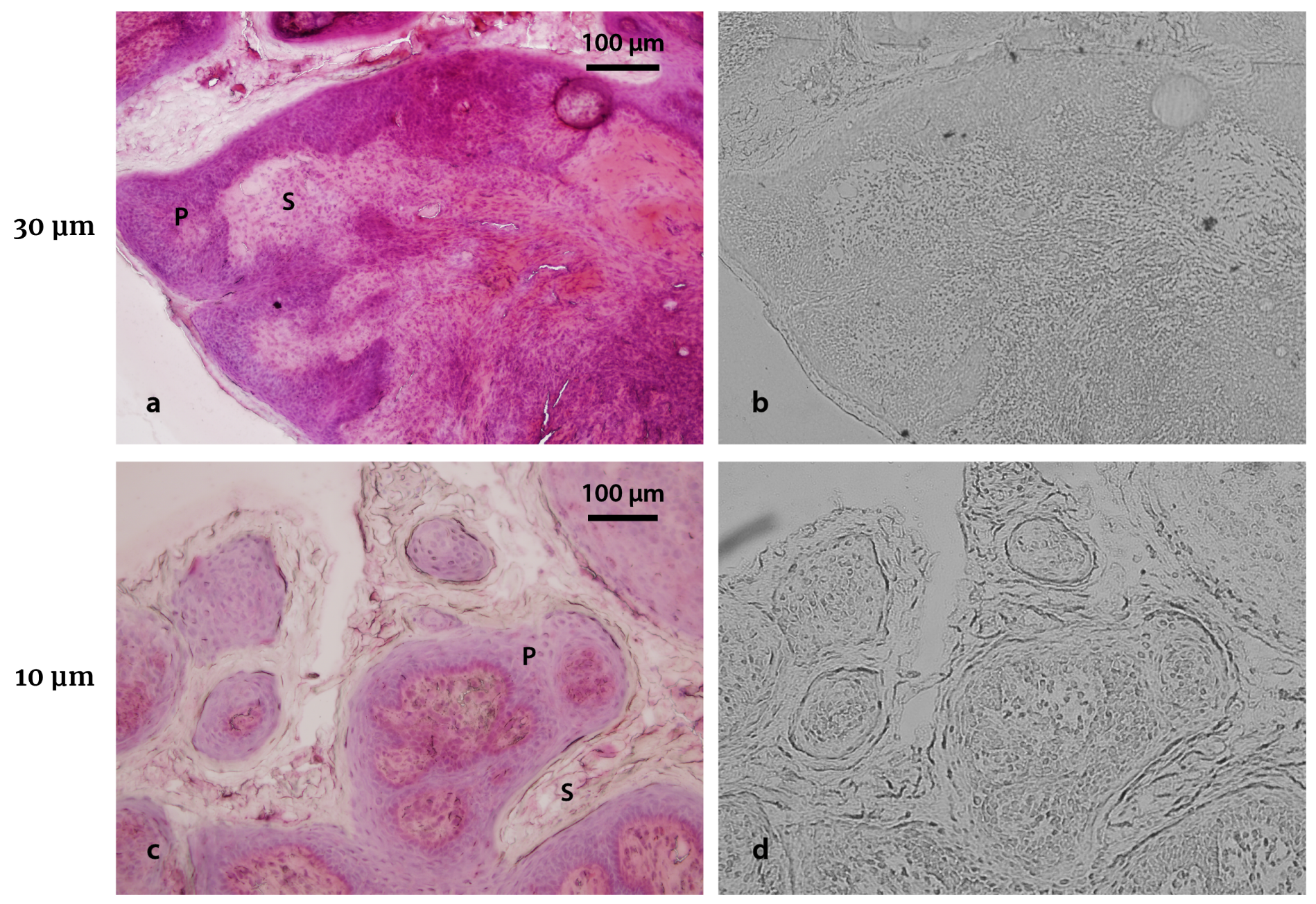 Life 13 01578 g002 Life 13 01578 g002