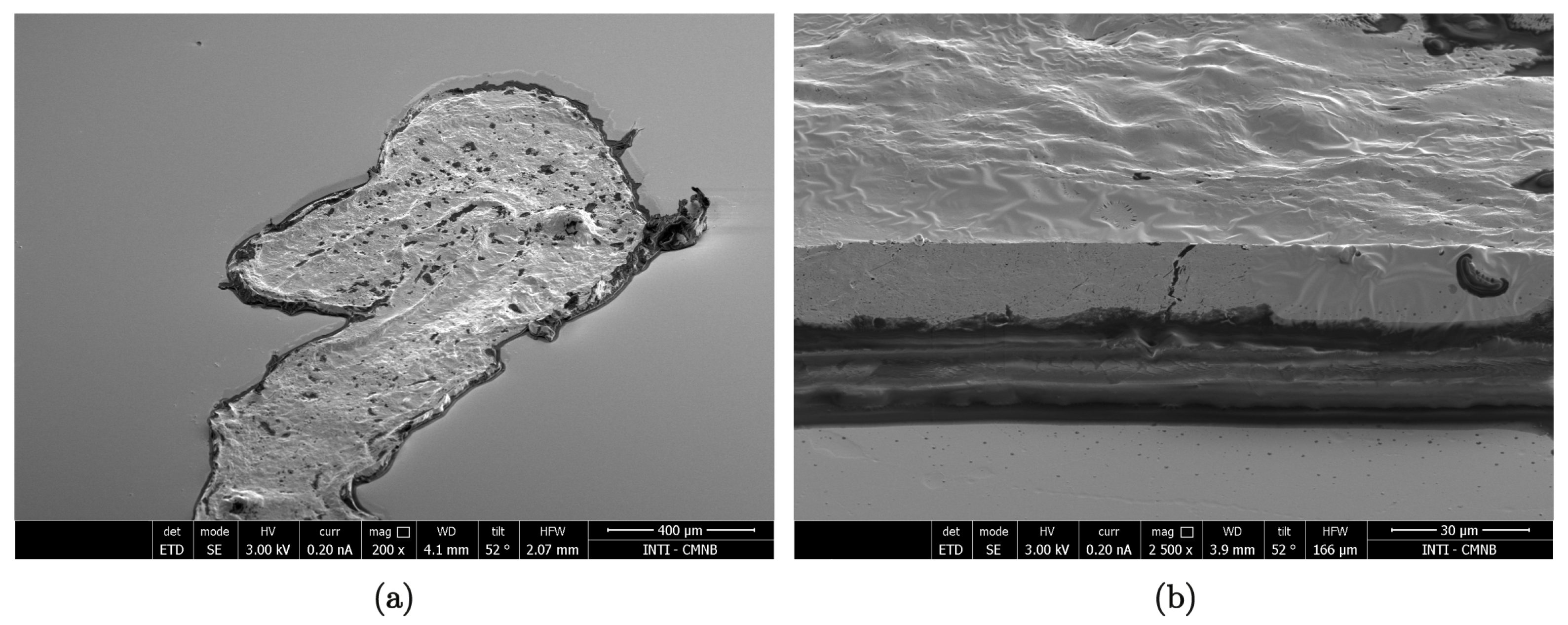 Life 13 01578 g003 Life 13 01578 g003