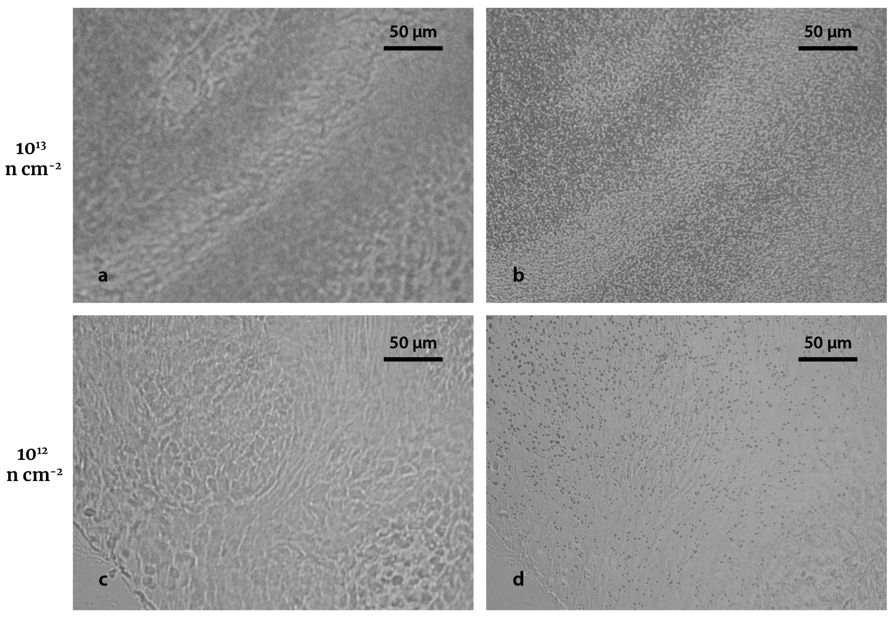 Life 13 01578 g004 Life 13 01578 g004