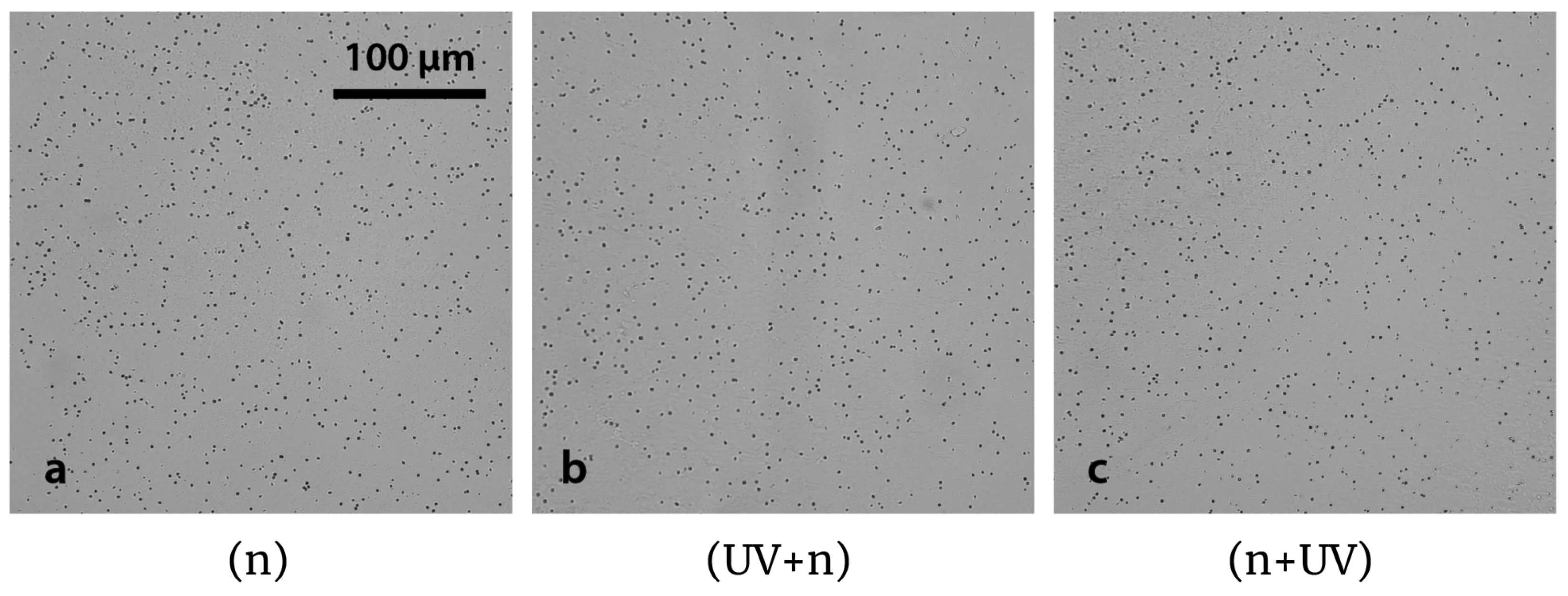 Life 13 01578 g007 Life 13 01578 g007