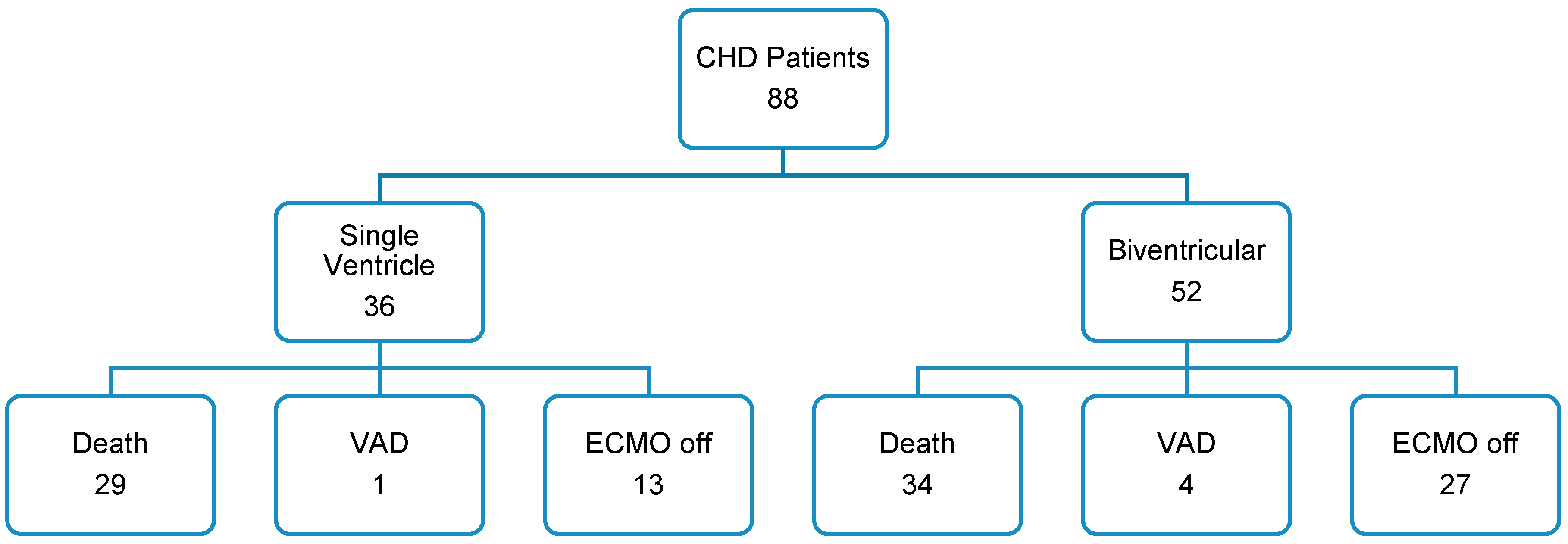 Life 13 01582 g001 Life 13 01582 g001