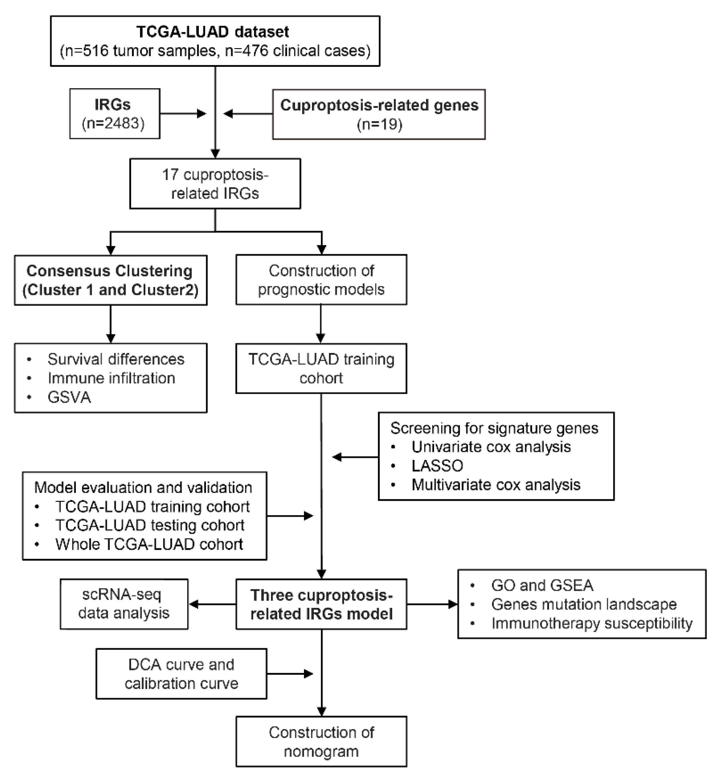 Life 13 01583 g001 Life 13 01583 g001