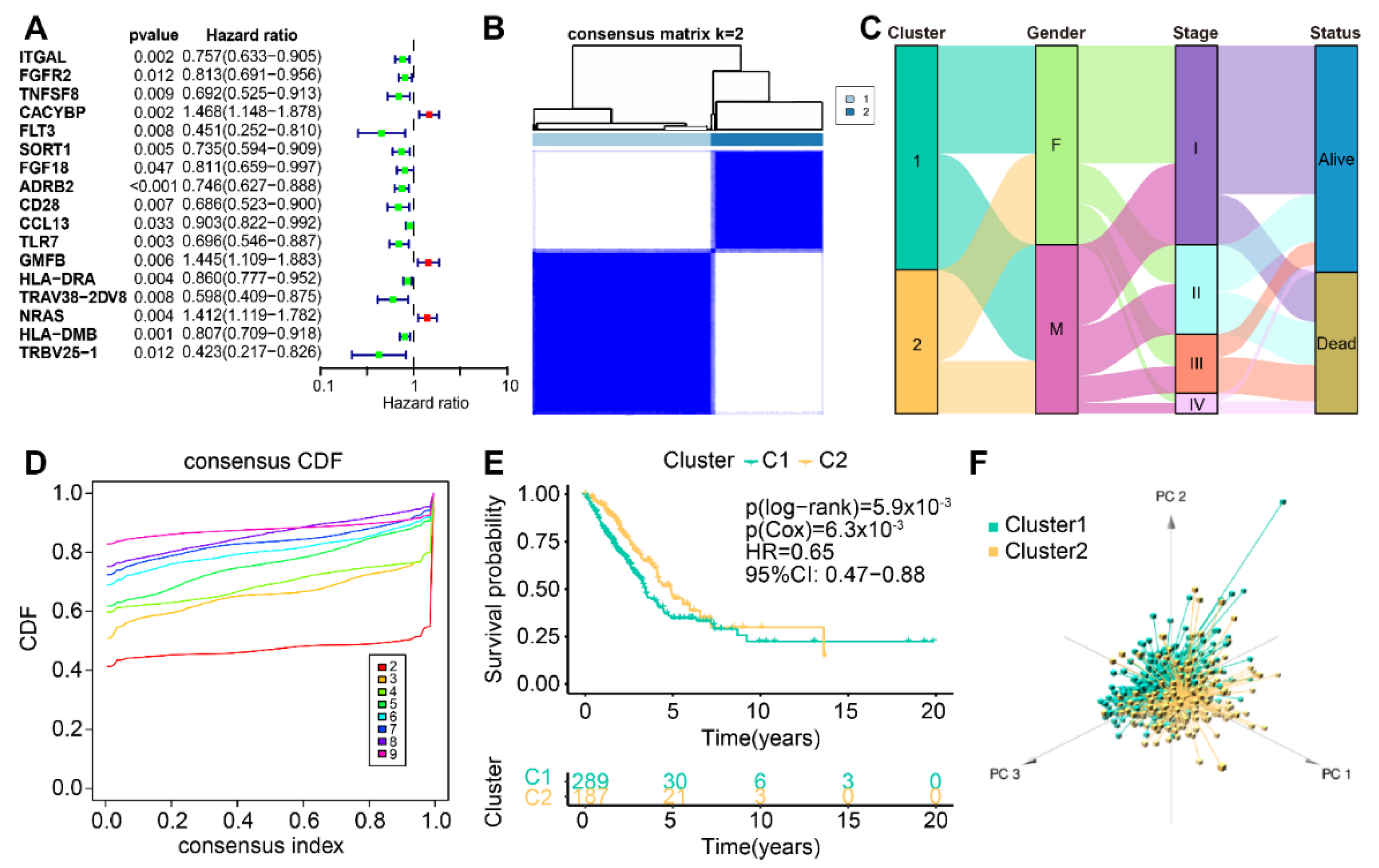 Life 13 01583 g002 Life 13 01583 g002