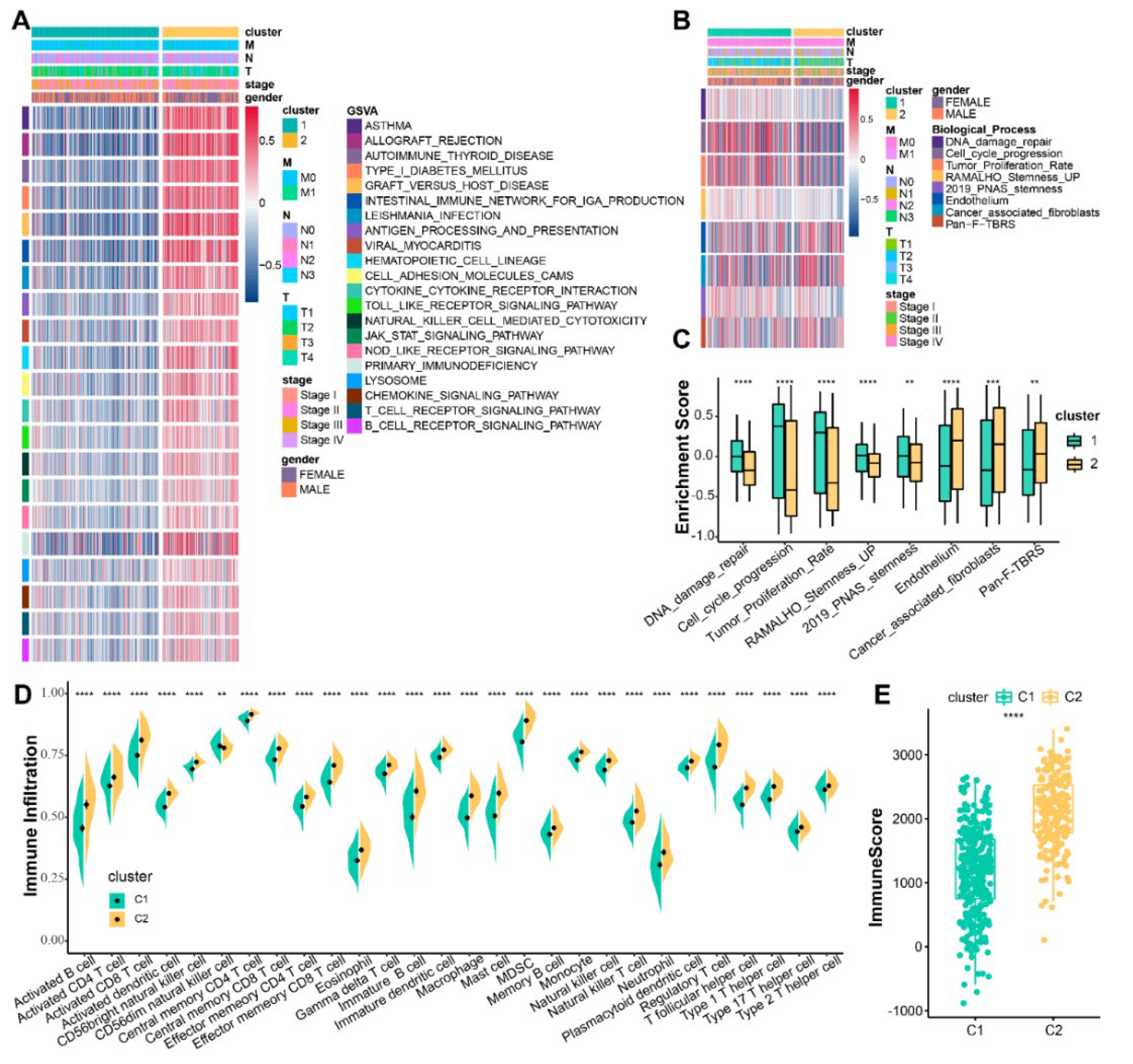 Life 13 01583 g003 Life 13 01583 g003