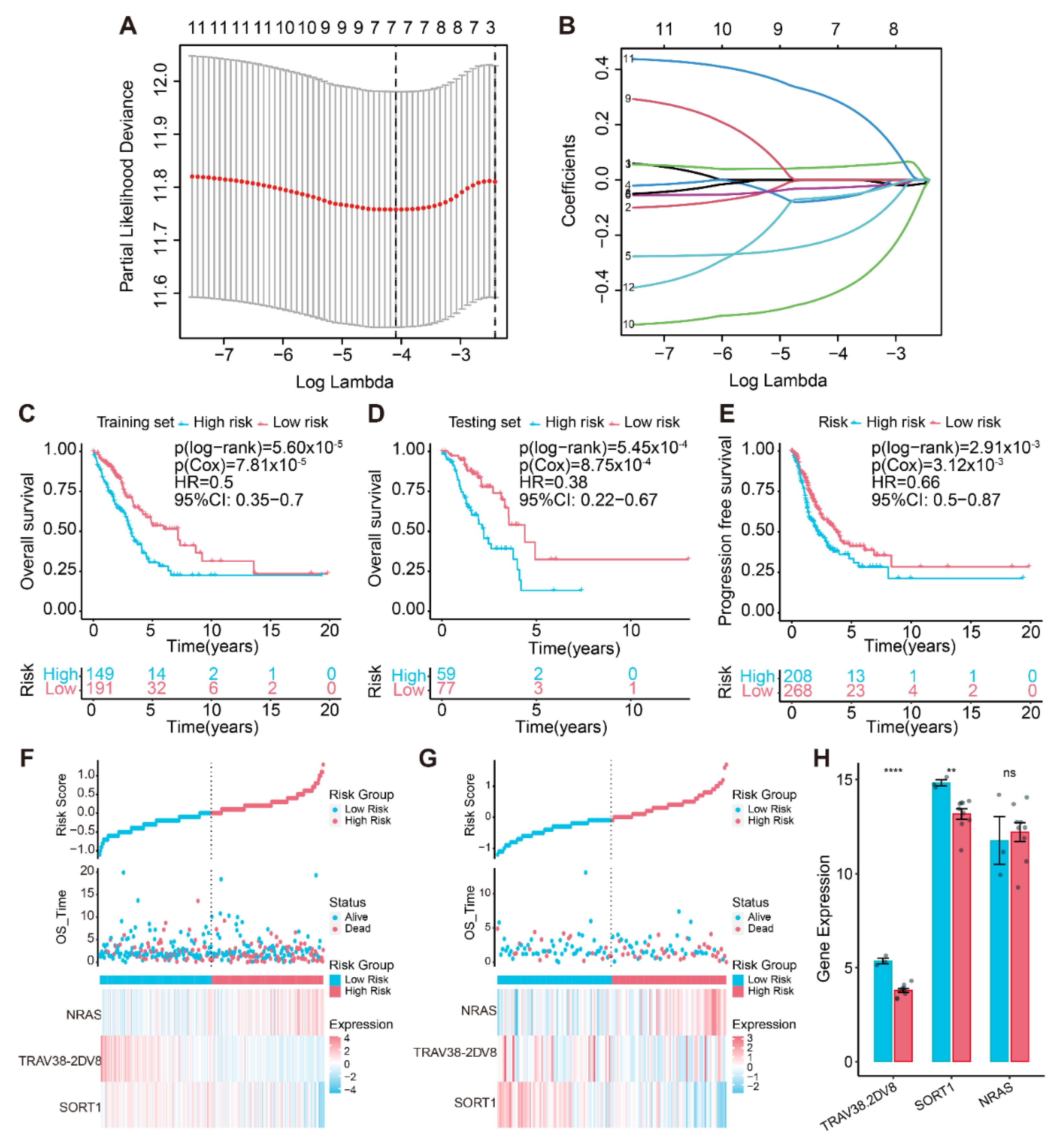 Life 13 01583 g004 Life 13 01583 g004
