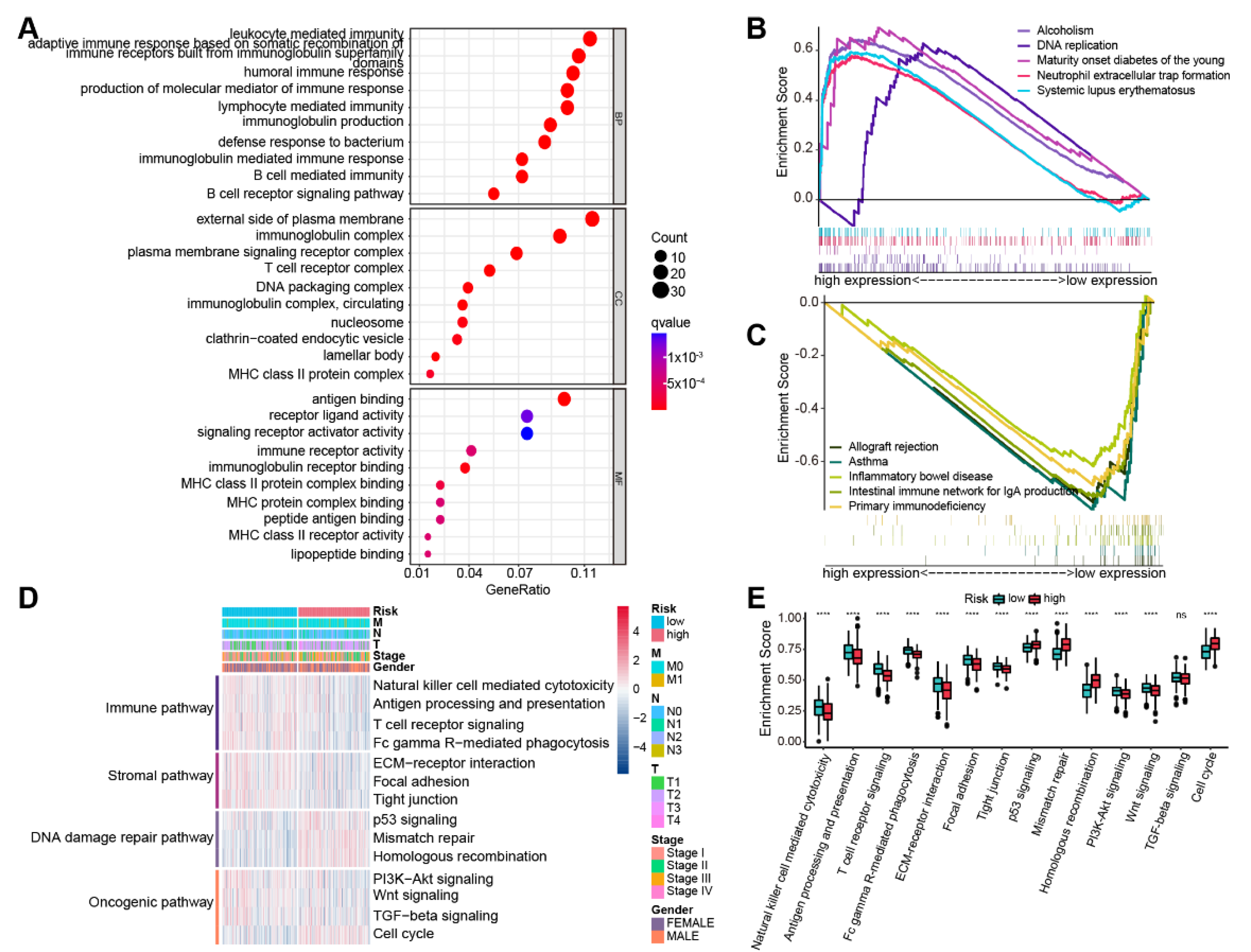 Life 13 01583 g007 Life 13 01583 g007