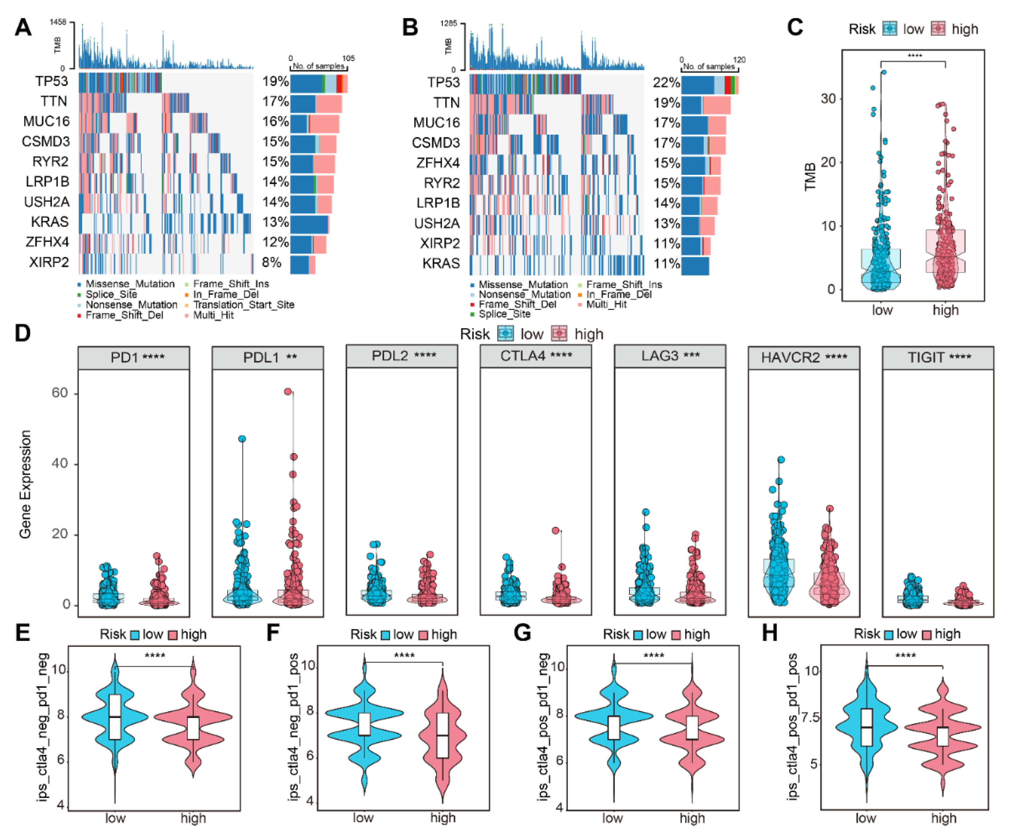Life 13 01583 g008 Life 13 01583 g008