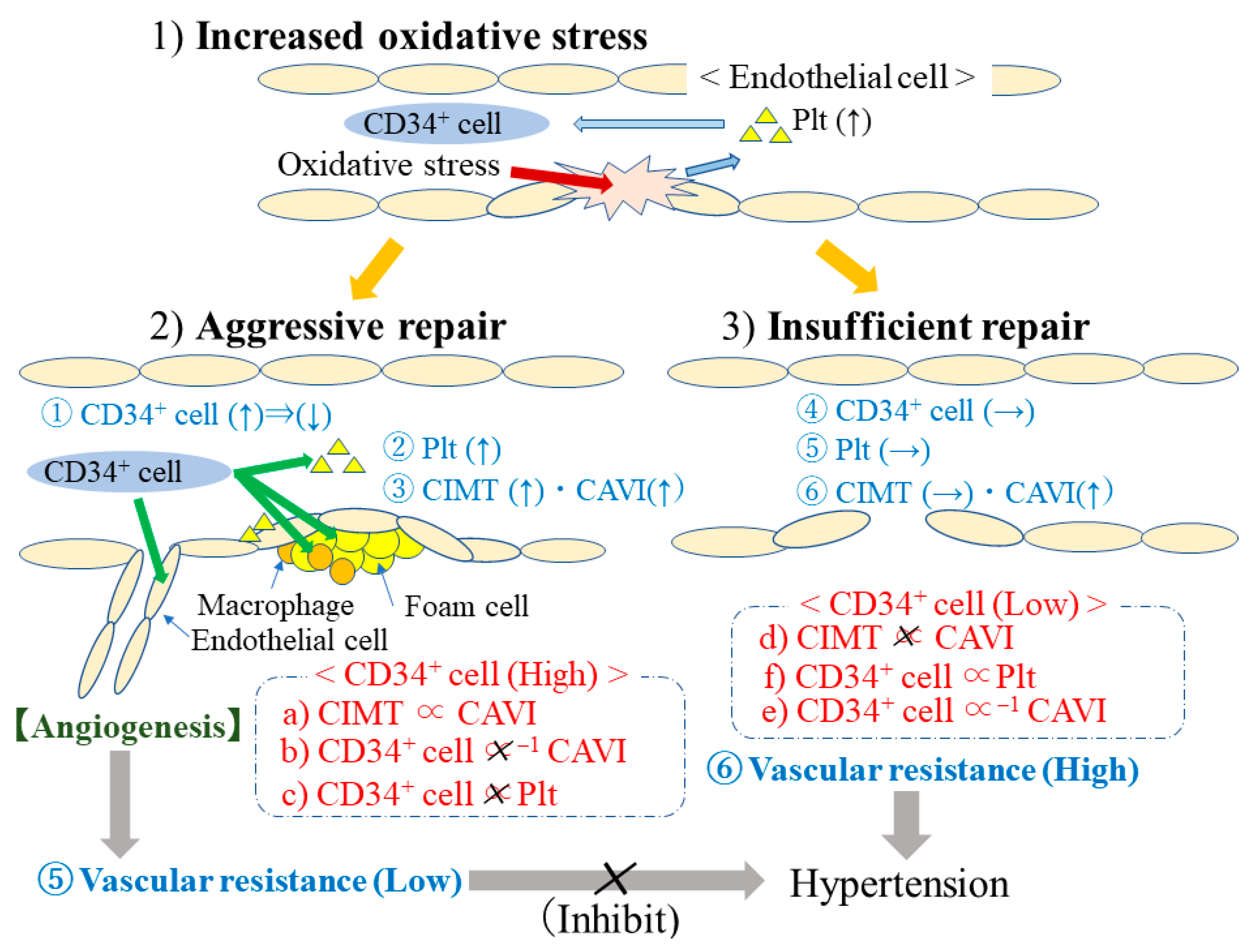 Life 13 01588 g001 Life 13 01588 g001
