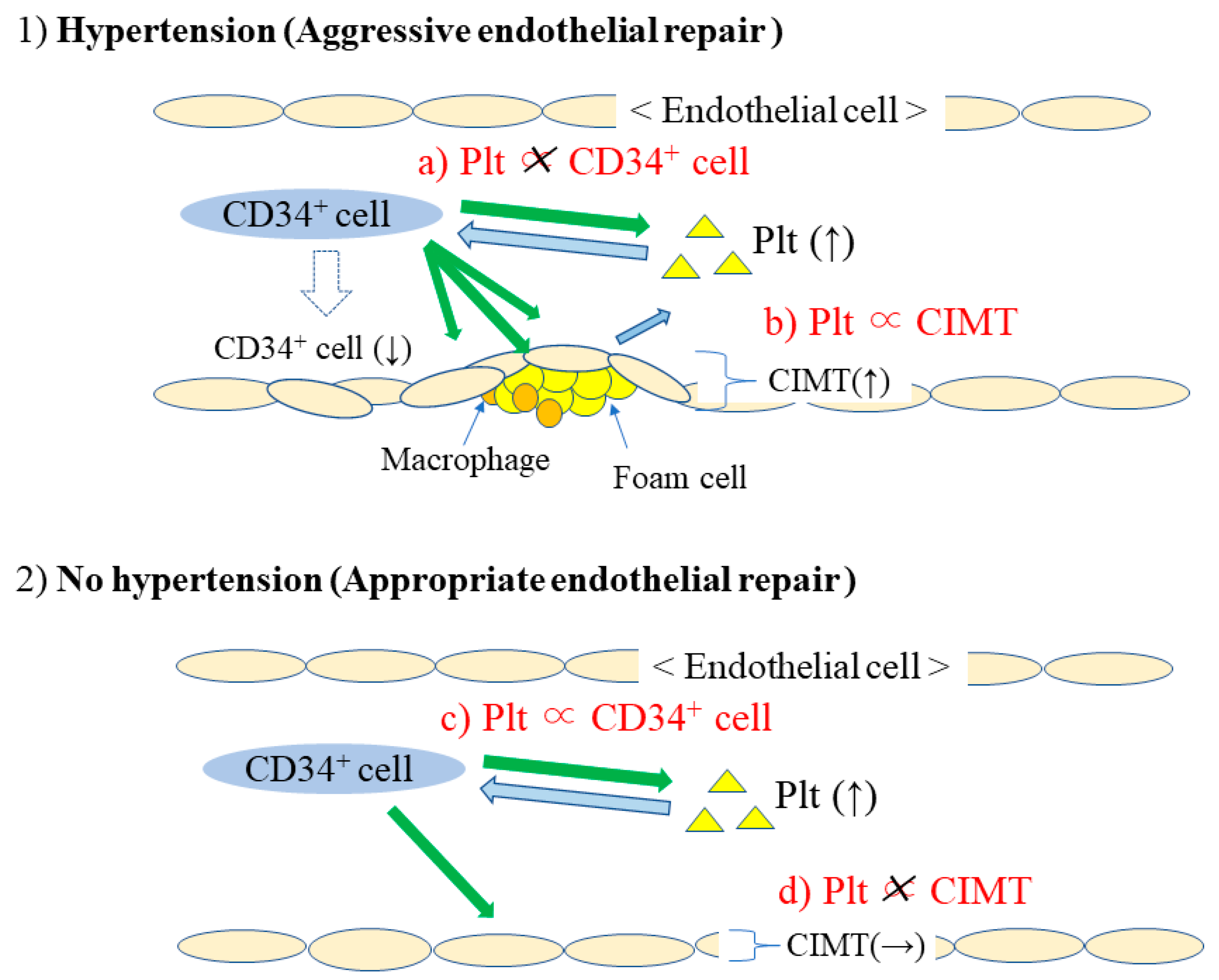 Life 13 01588 g002 Life 13 01588 g002