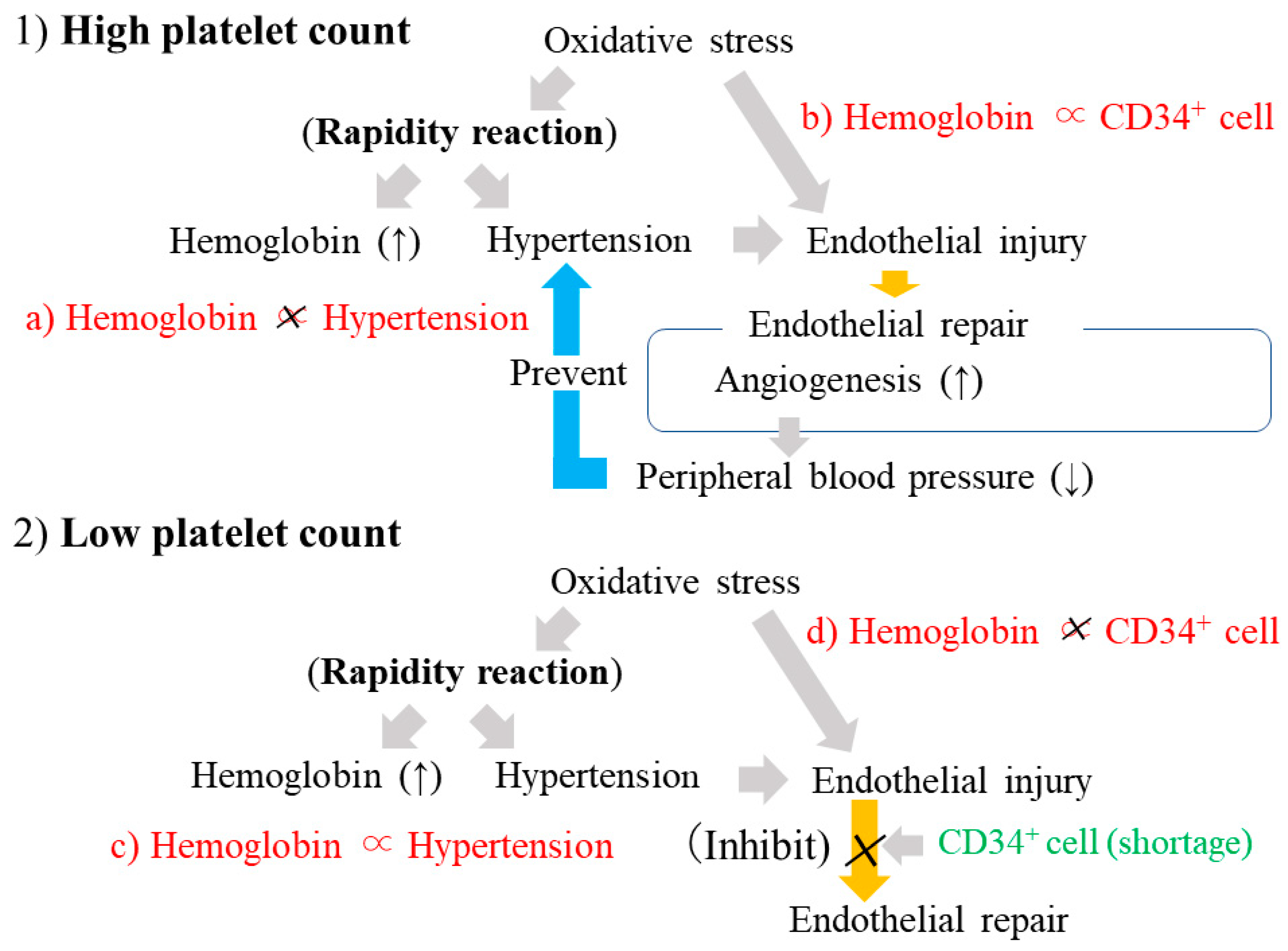 Life 13 01588 g005 Life 13 01588 g005