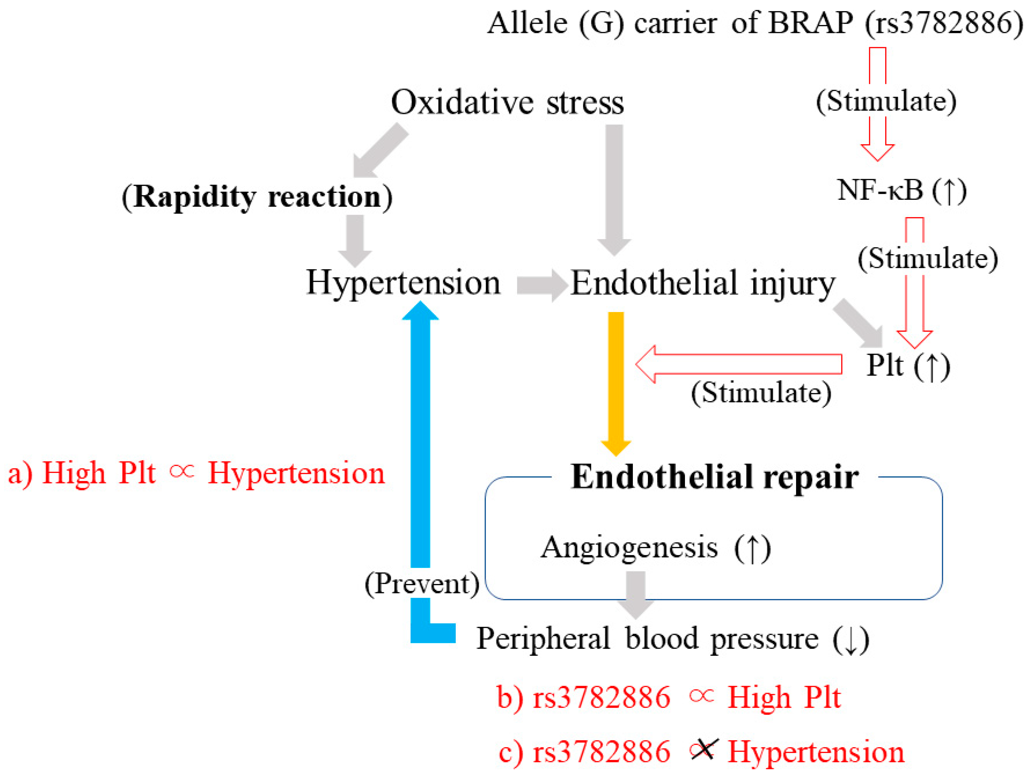 Life 13 01588 g006 Life 13 01588 g006