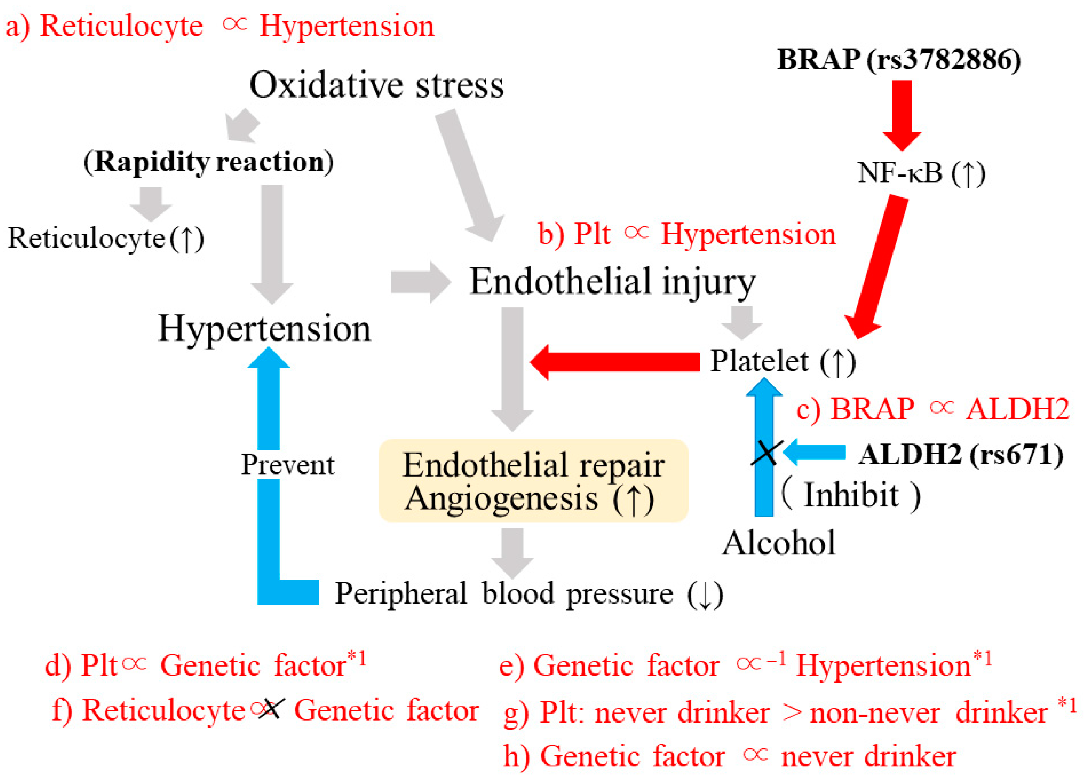 Life 13 01588 g007 Life 13 01588 g007