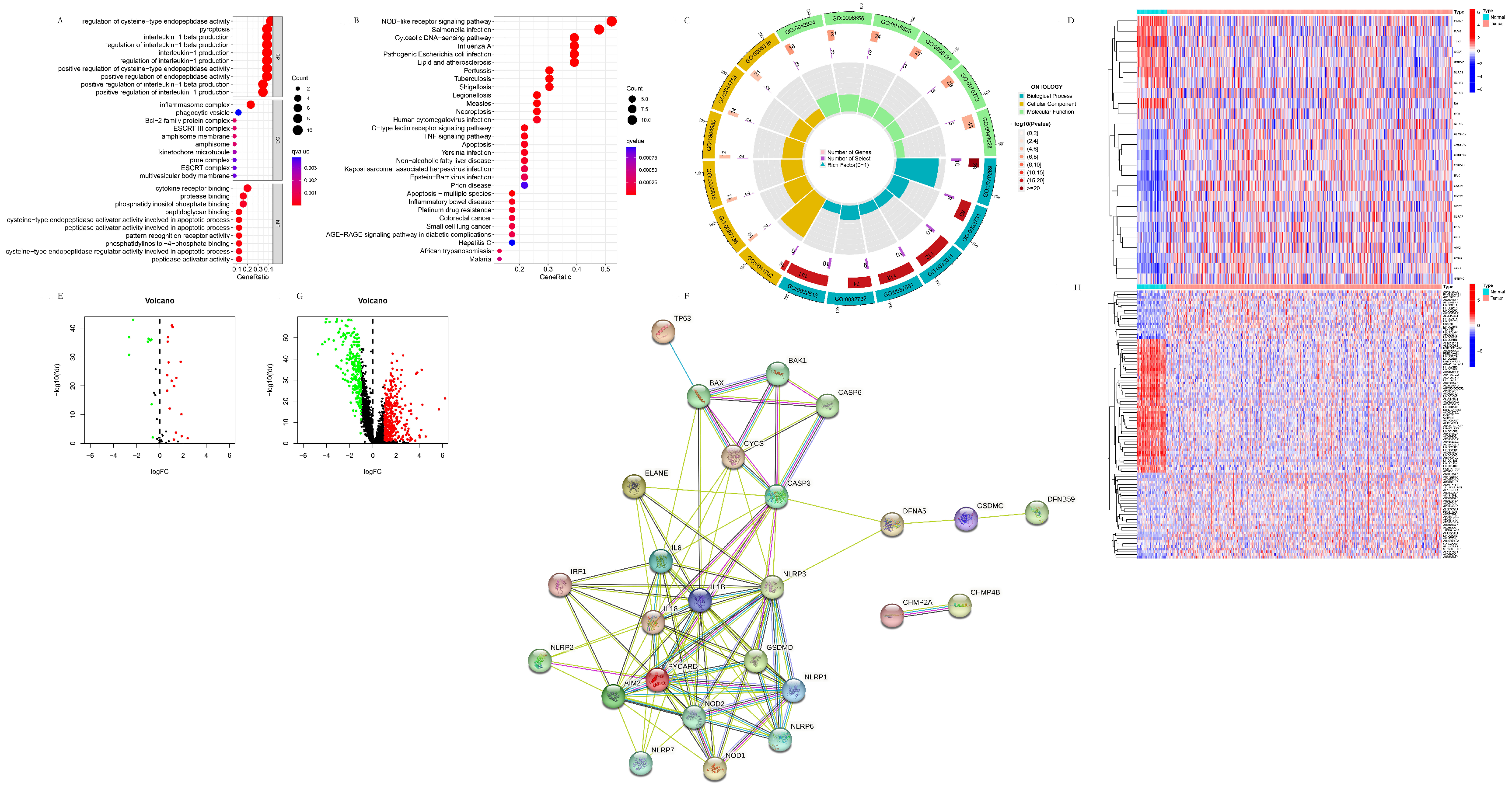 Life 13 01599 g001 Life 13 01599 g001