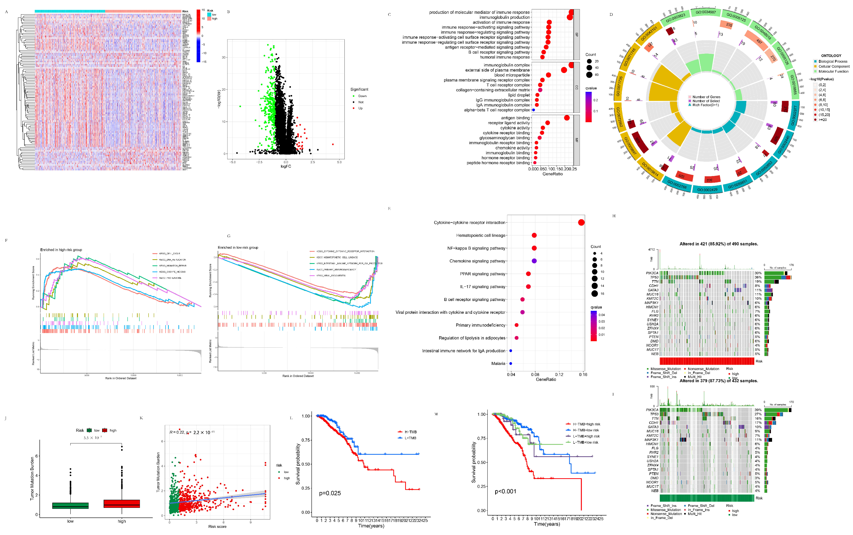 Life 13 01599 g003 Life 13 01599 g003