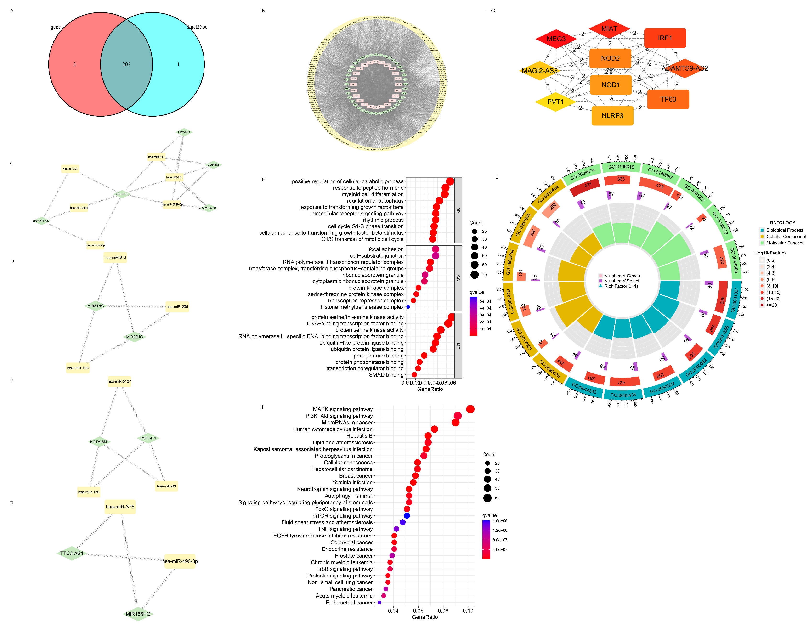 Life 13 01599 g007 Life 13 01599 g007