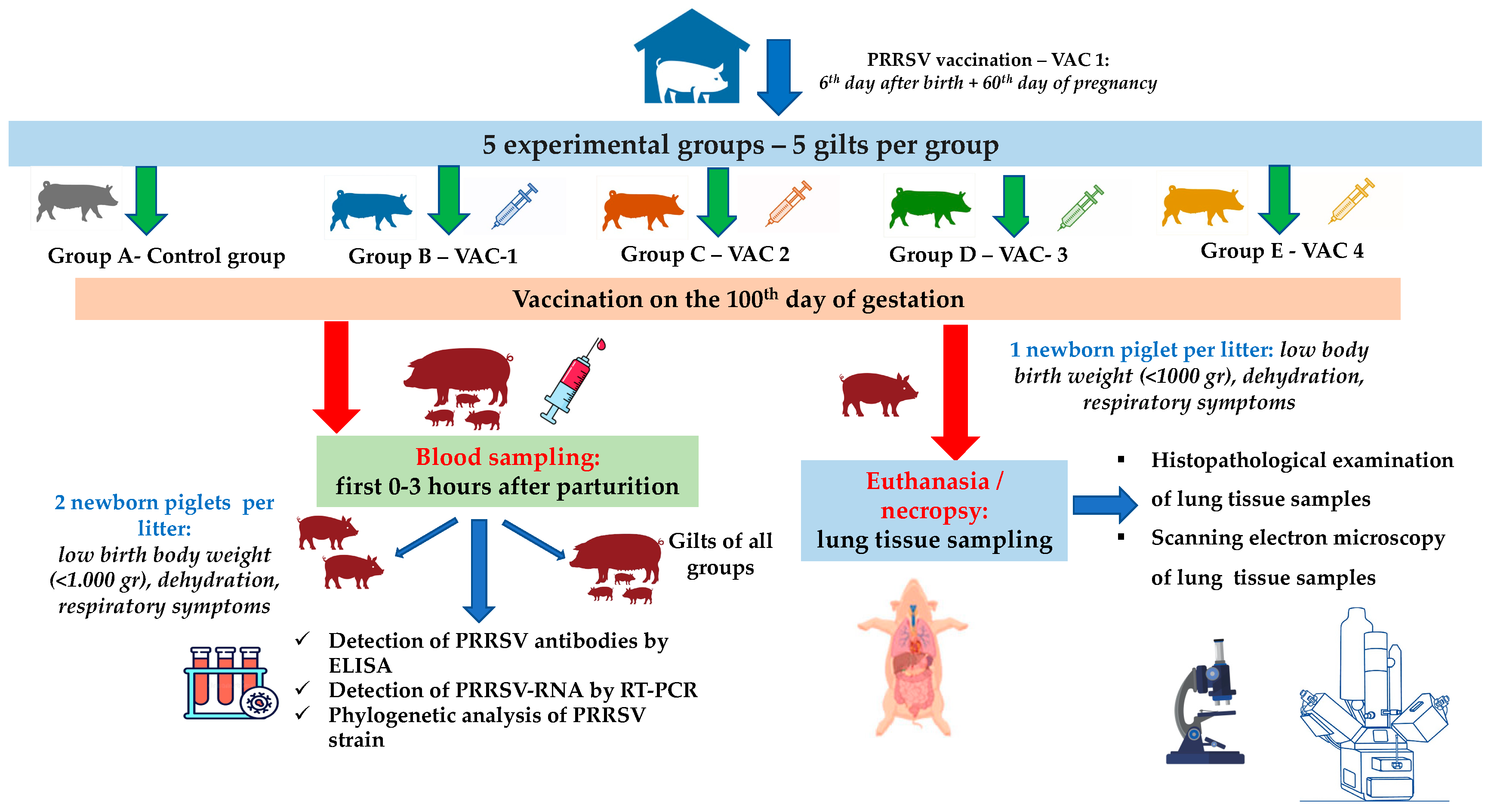 Life 13 01609 g001 Life 13 01609 g001