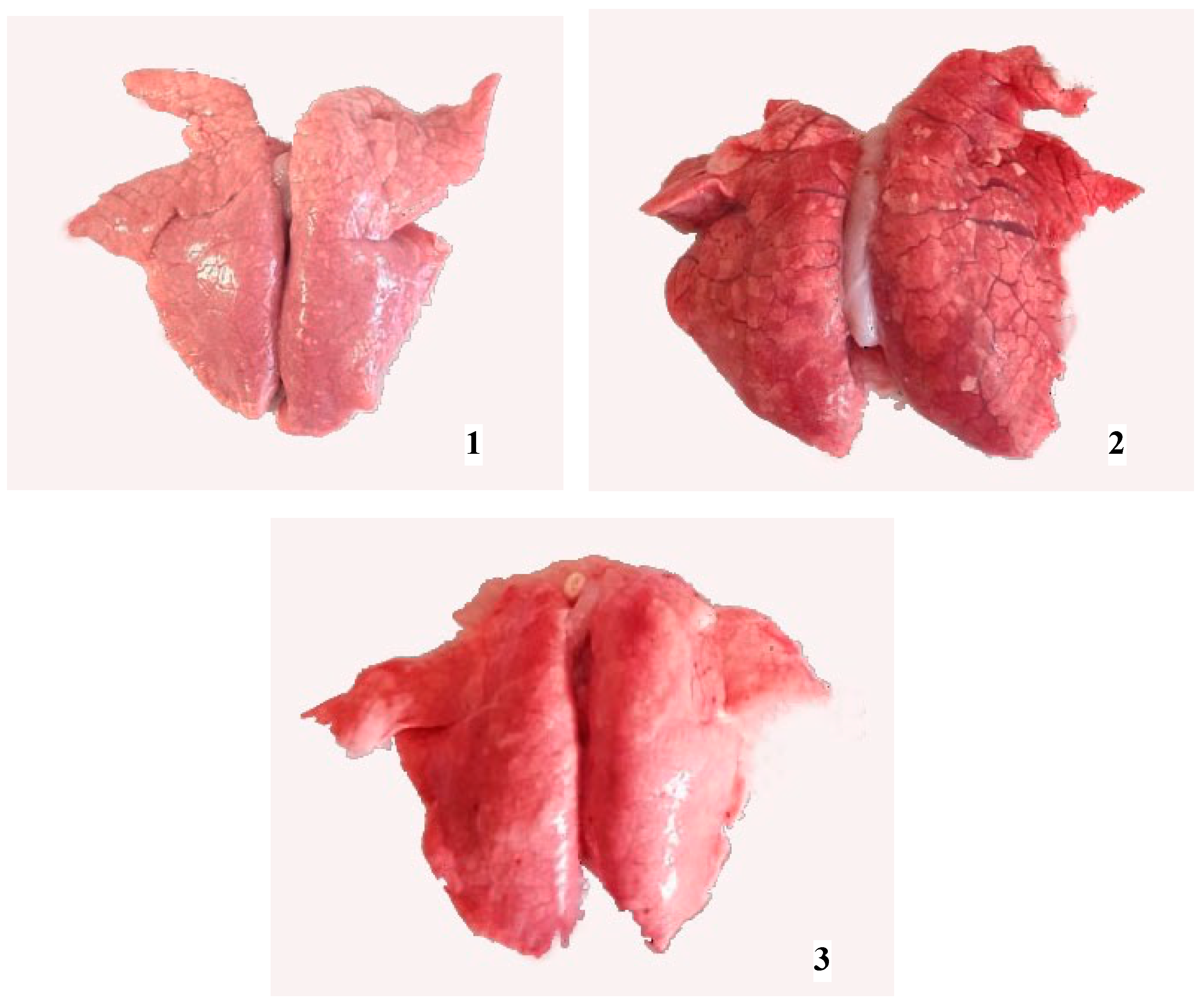 Life 13 01609 g003 Life 13 01609 g003