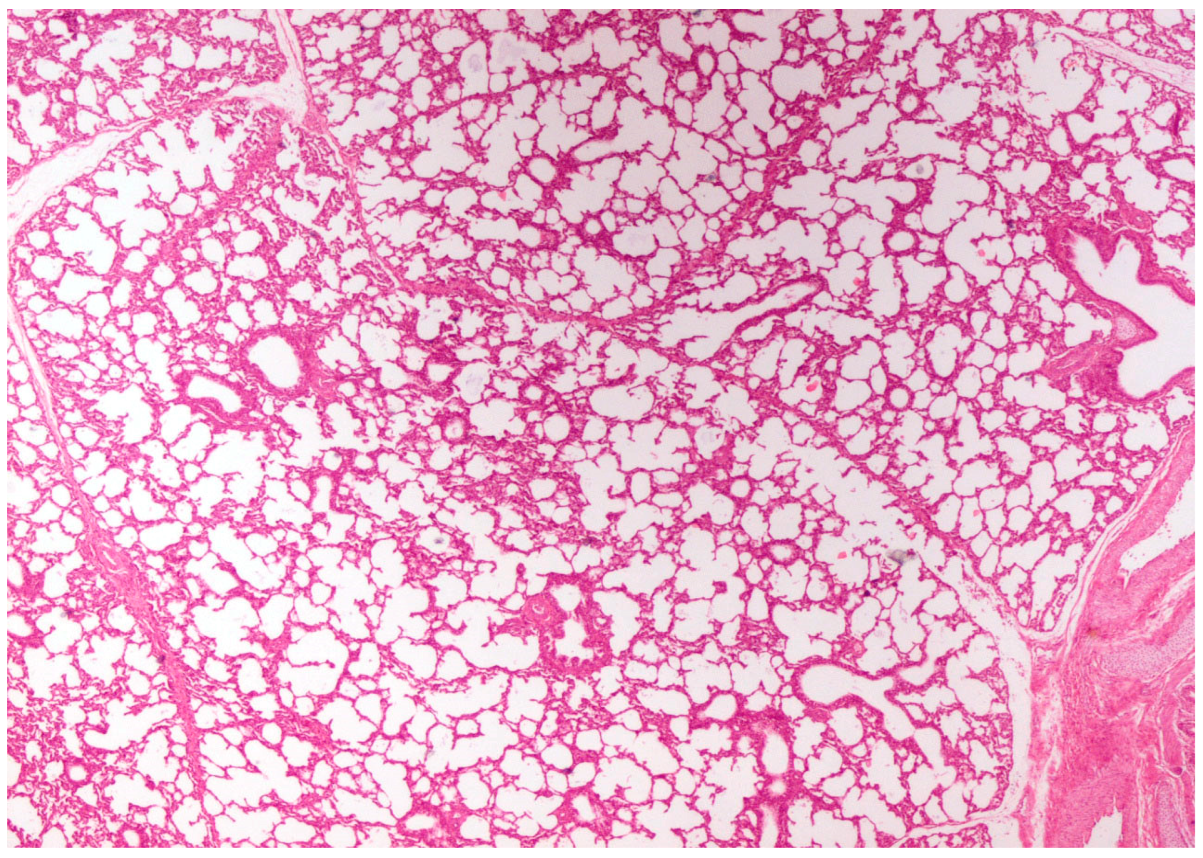 Life 13 01609 g004 Life 13 01609 g004