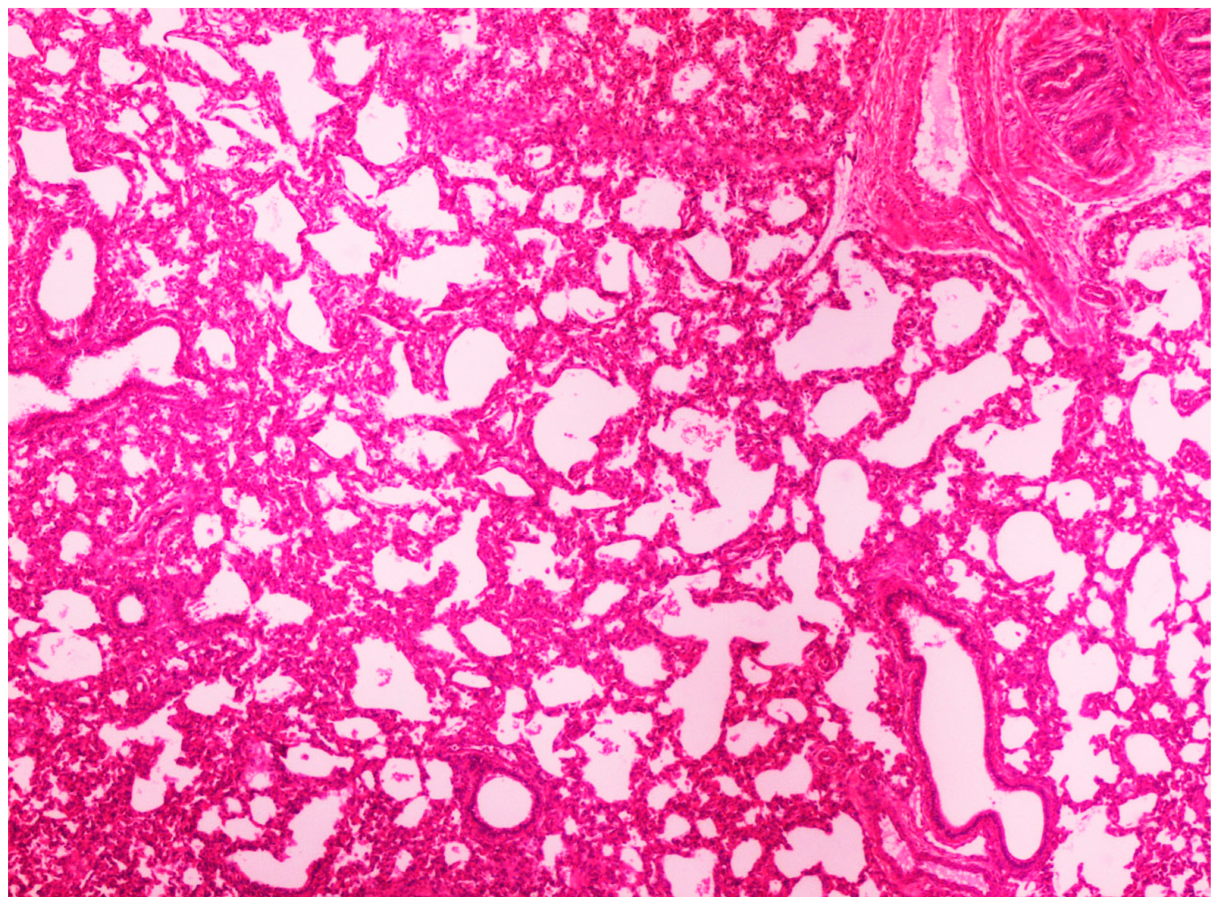 Life 13 01609 g005 Life 13 01609 g005