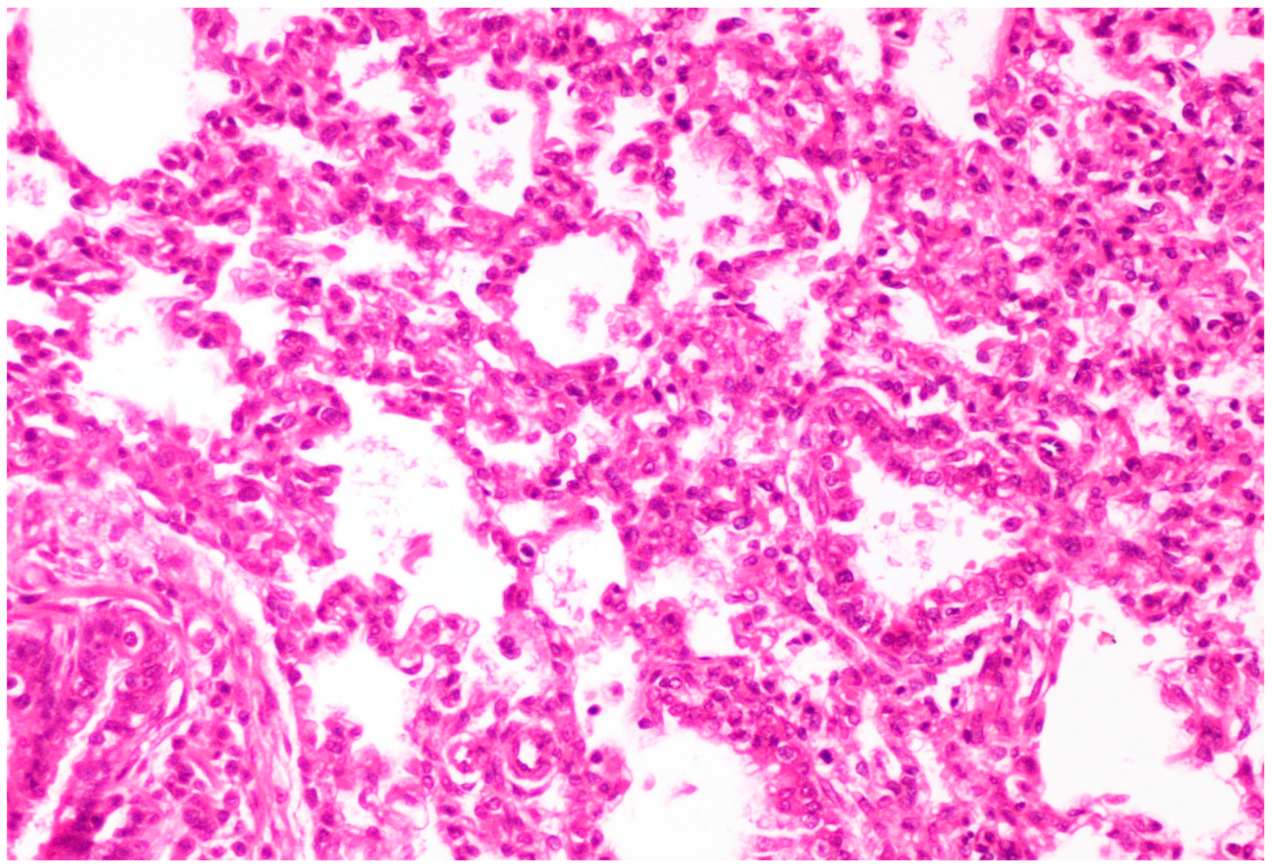 Life 13 01609 g006 Life 13 01609 g006