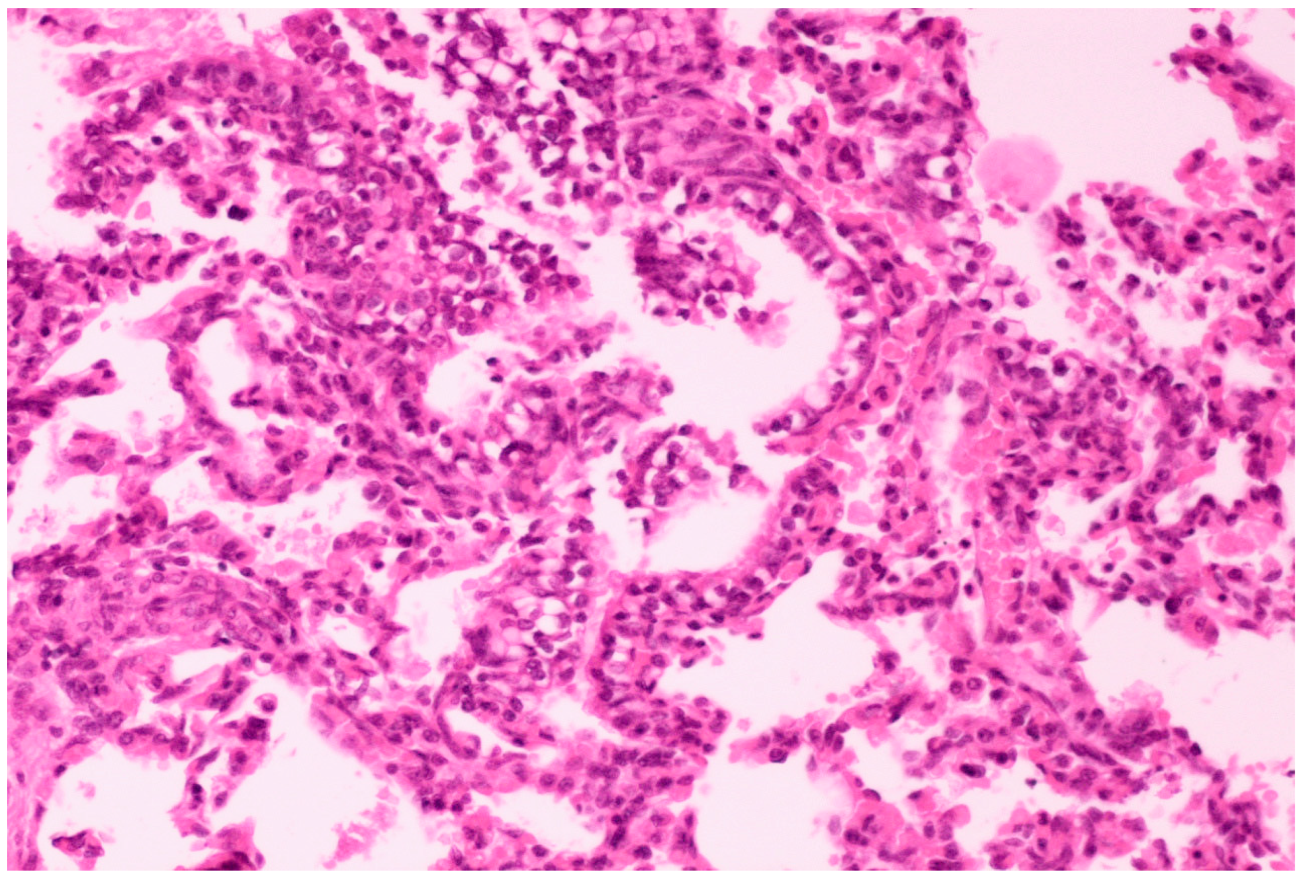 Life 13 01609 g007 Life 13 01609 g007