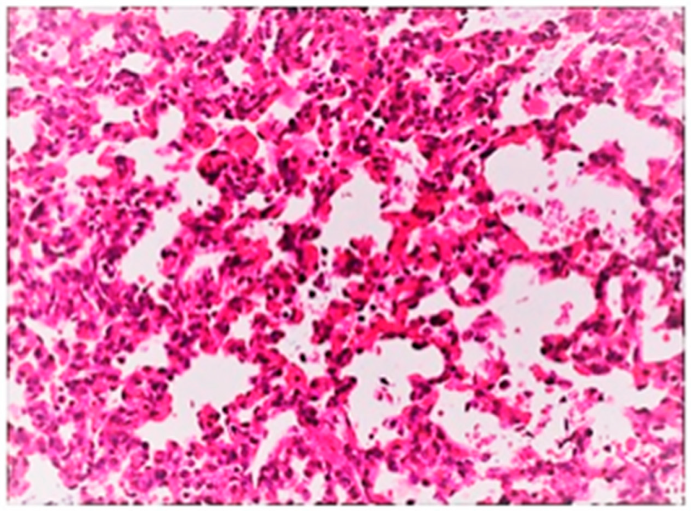 Life 13 01609 g008 Life 13 01609 g008