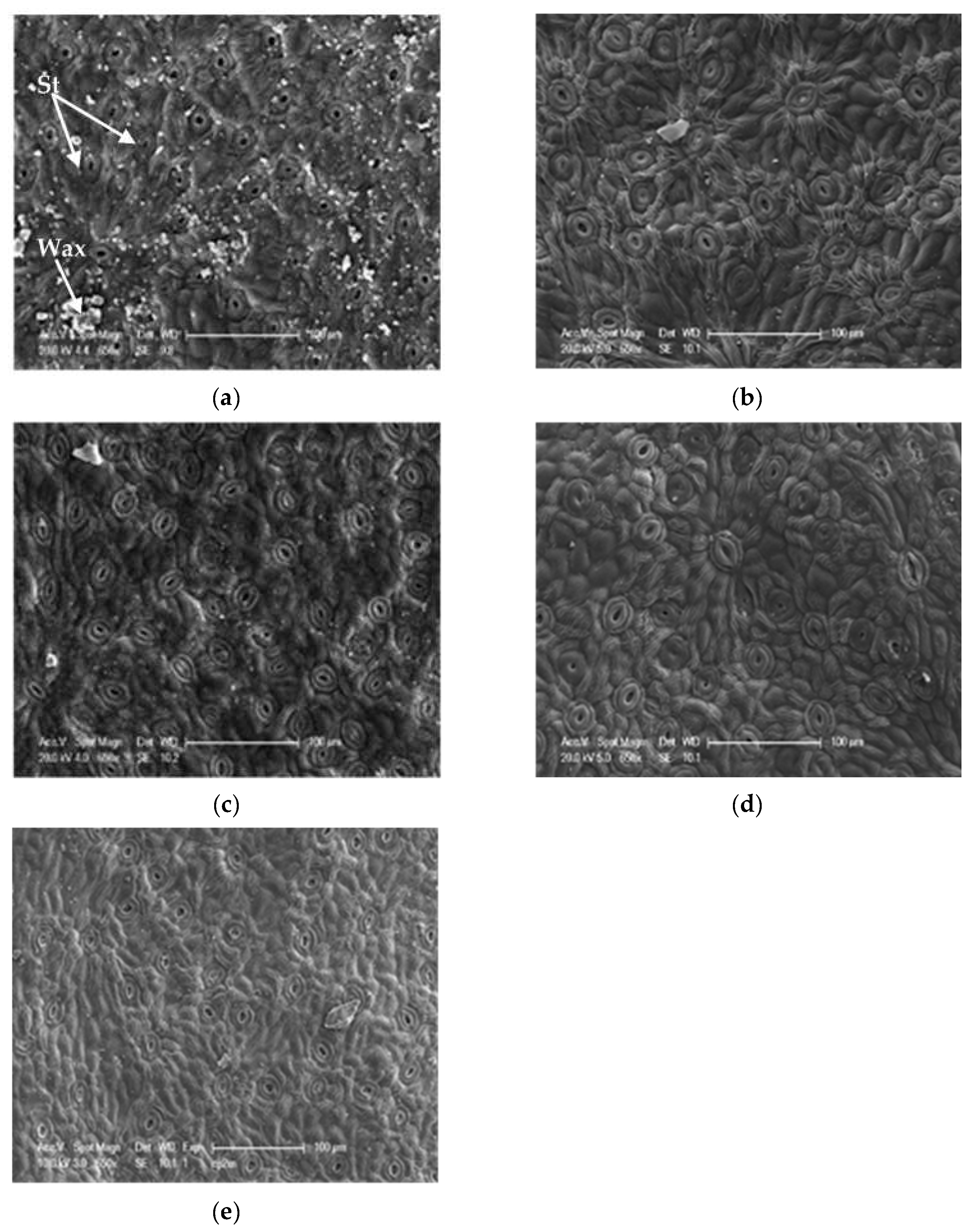 Life 13 01617 g007 Life 13 01617 g007