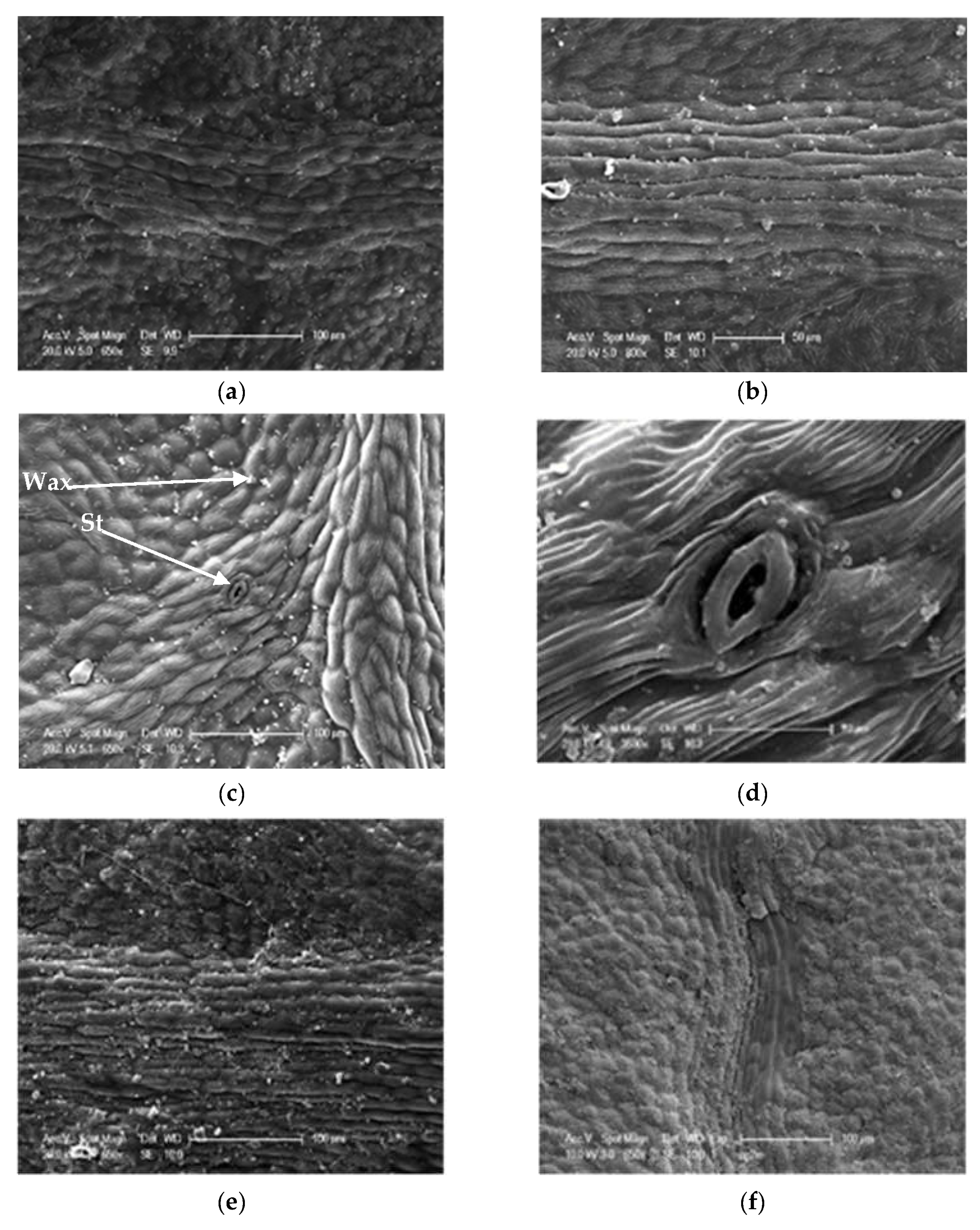 Life 13 01617 g008 Life 13 01617 g008