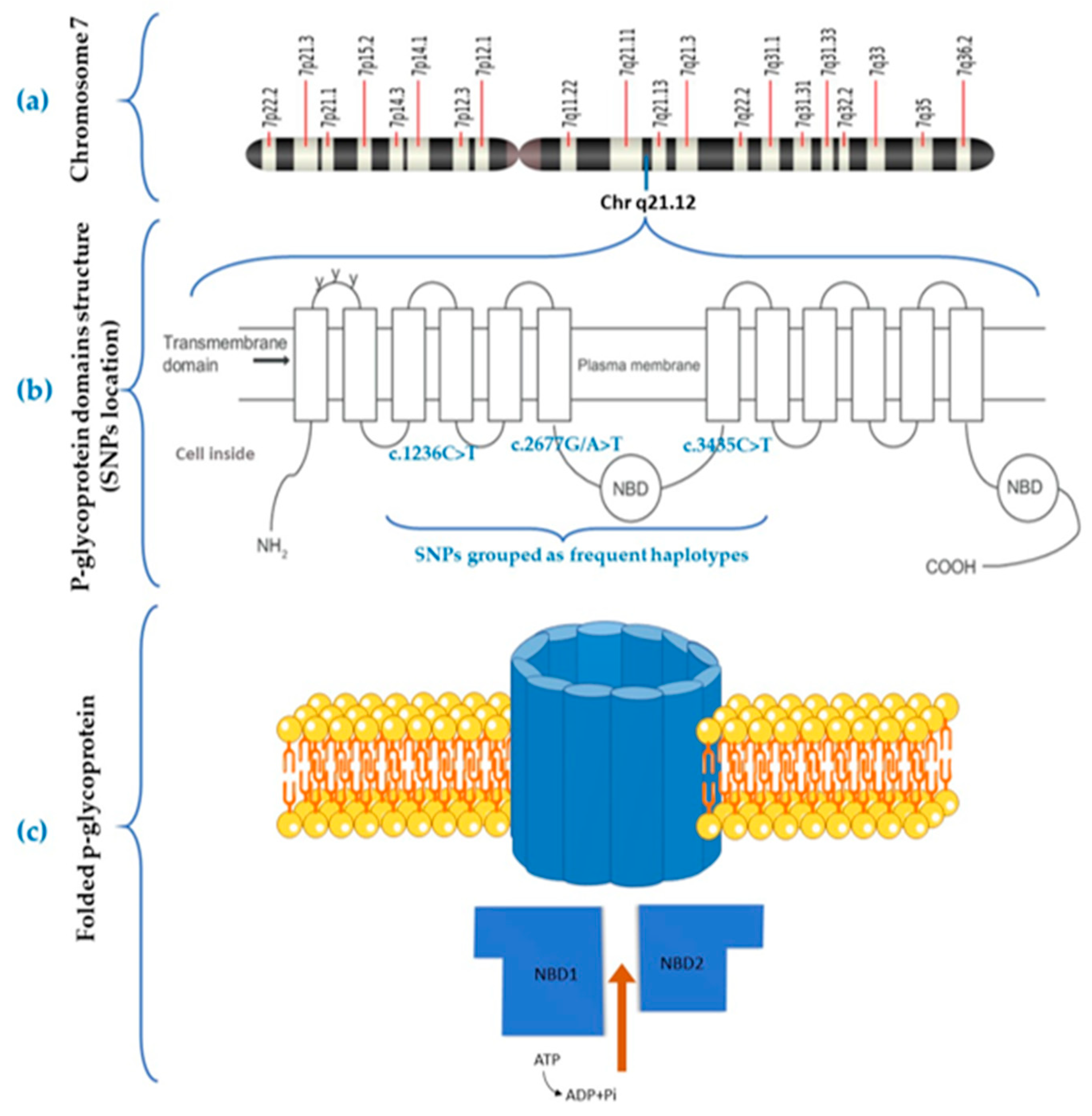 Life 13 01627 g003 Life 13 01627 g003