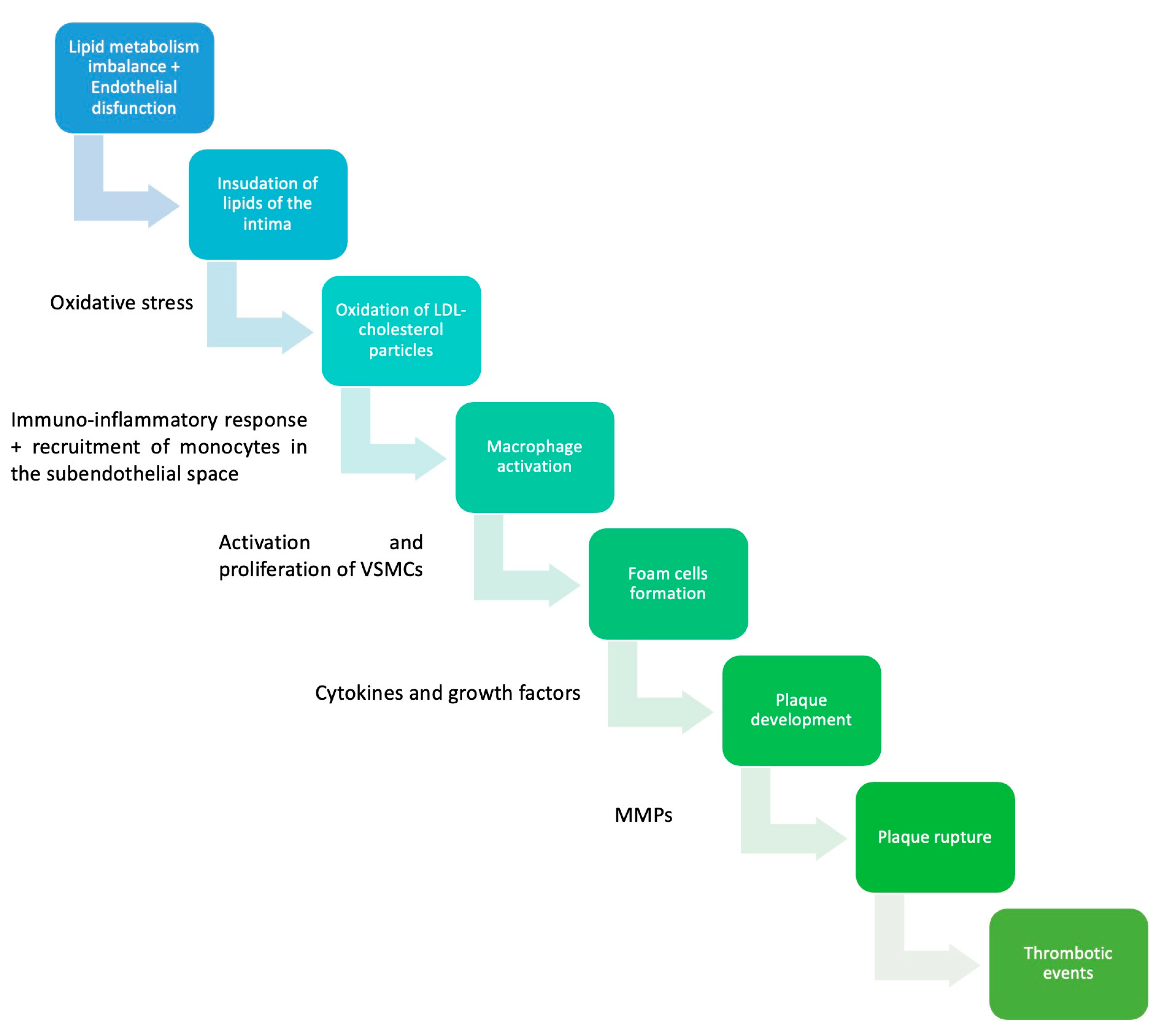 Life 13 01639 g001 Life 13 01639 g001