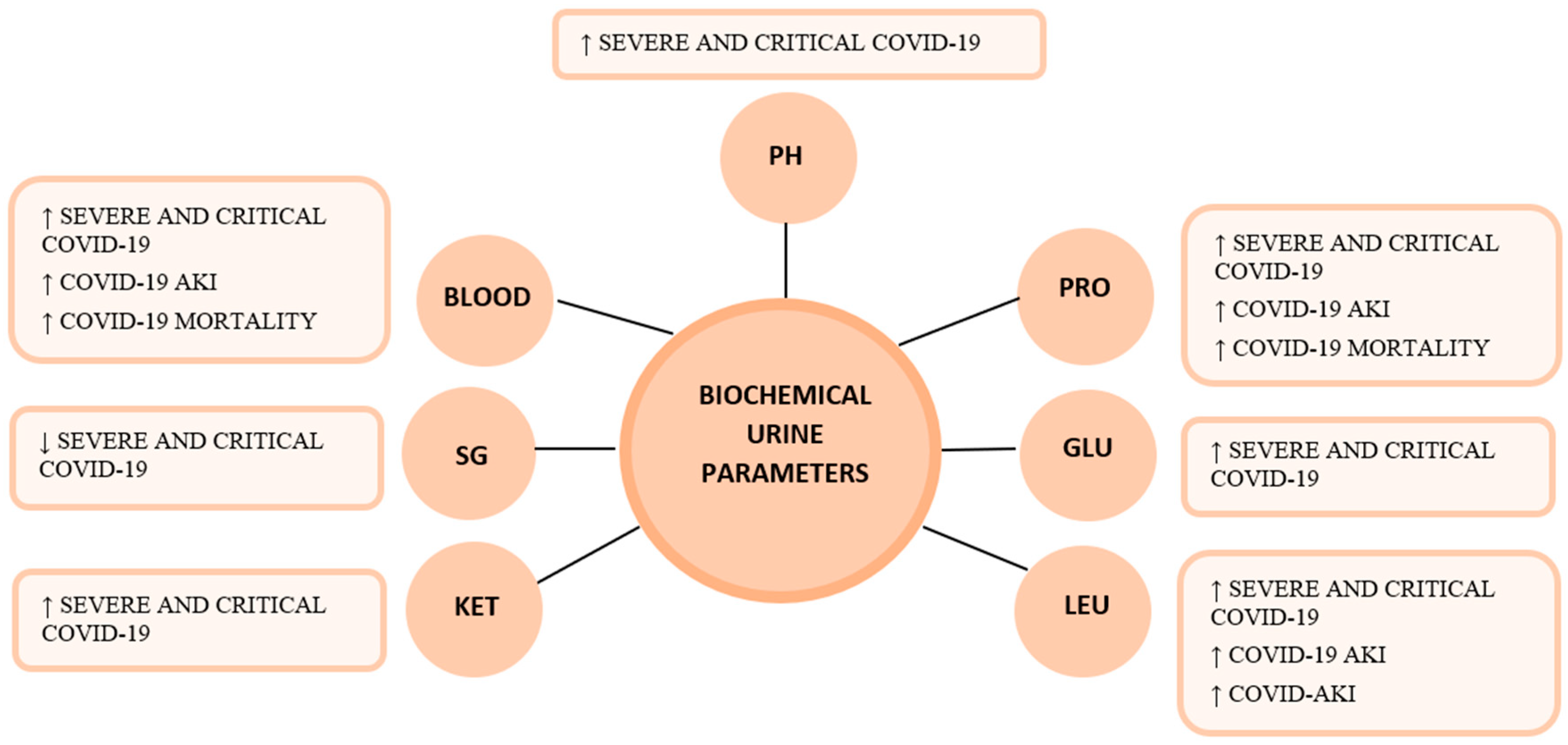 Life Free FullText Urine Parameters in Patients with COVID19
