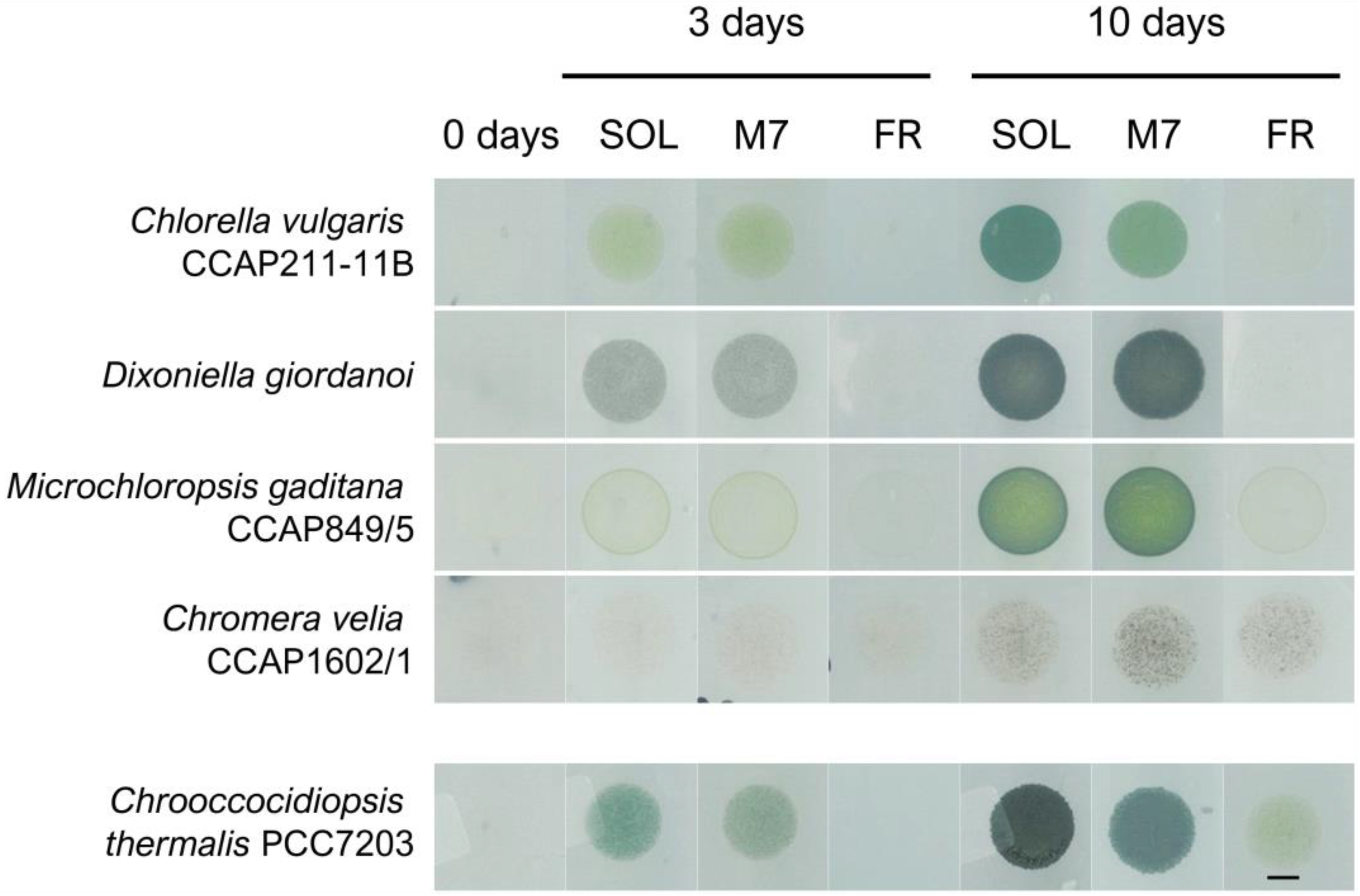 Life 13 01641 g001 Life 13 01641 g001