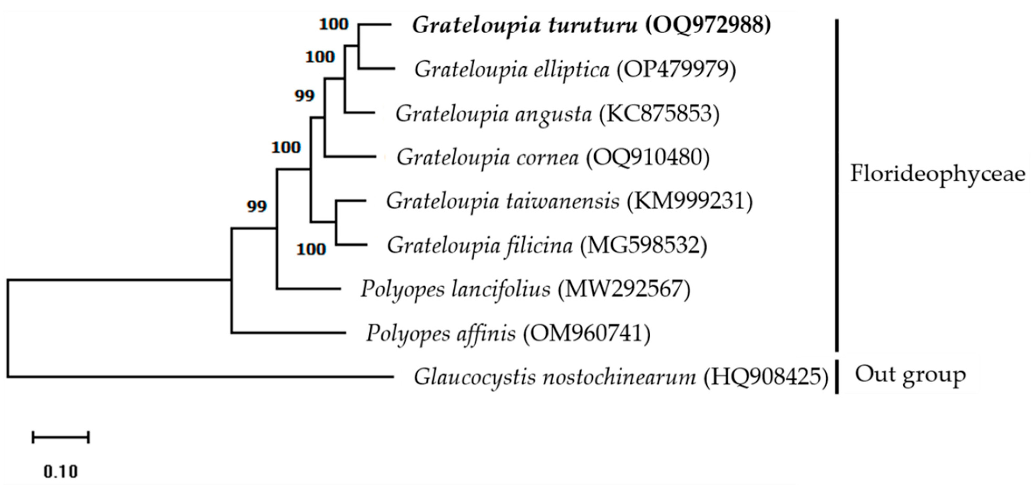 Life 13 01642 g002 Life 13 01642 g002