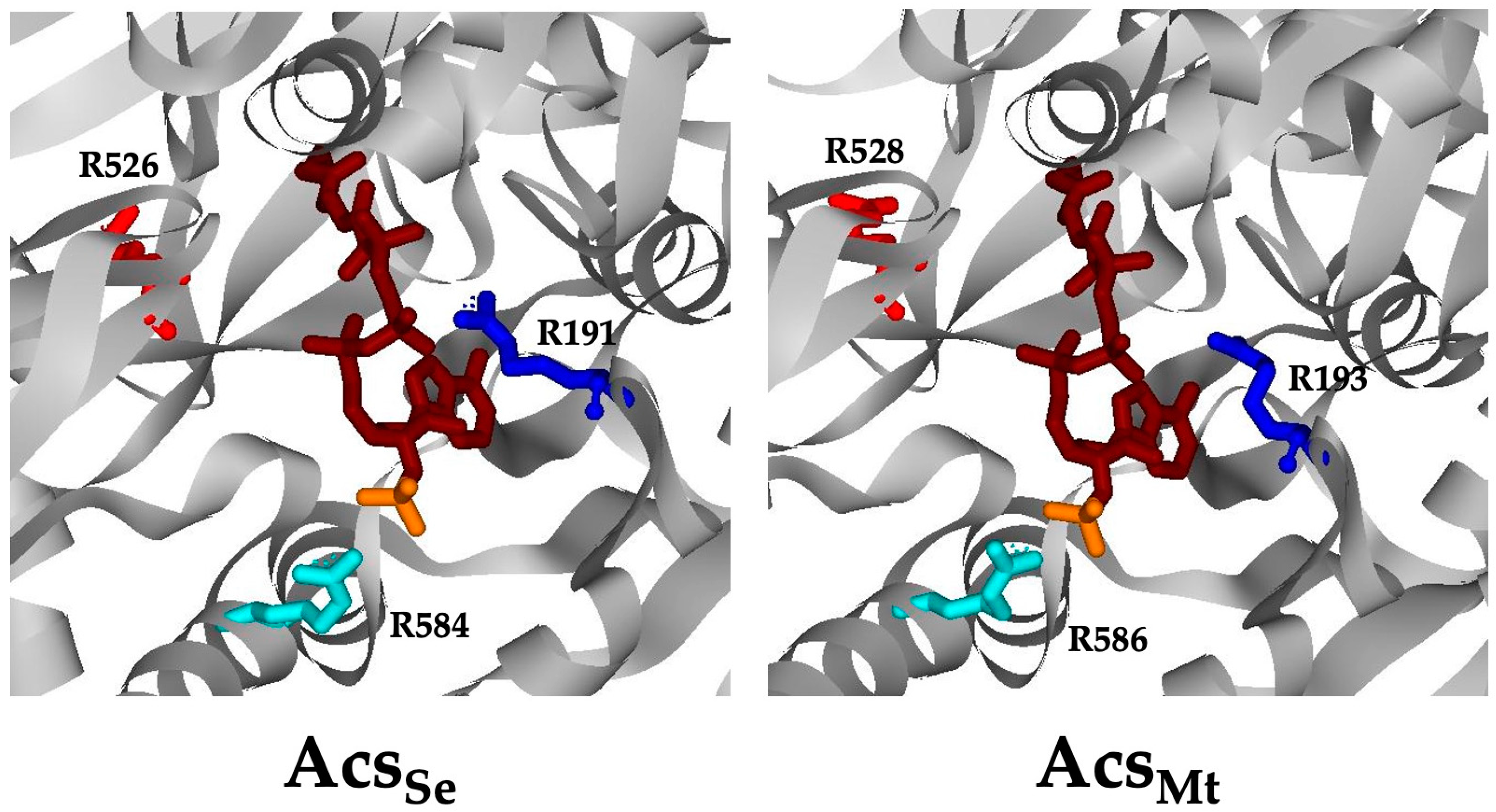 Life 13 01643 g001 Life 13 01643 g001