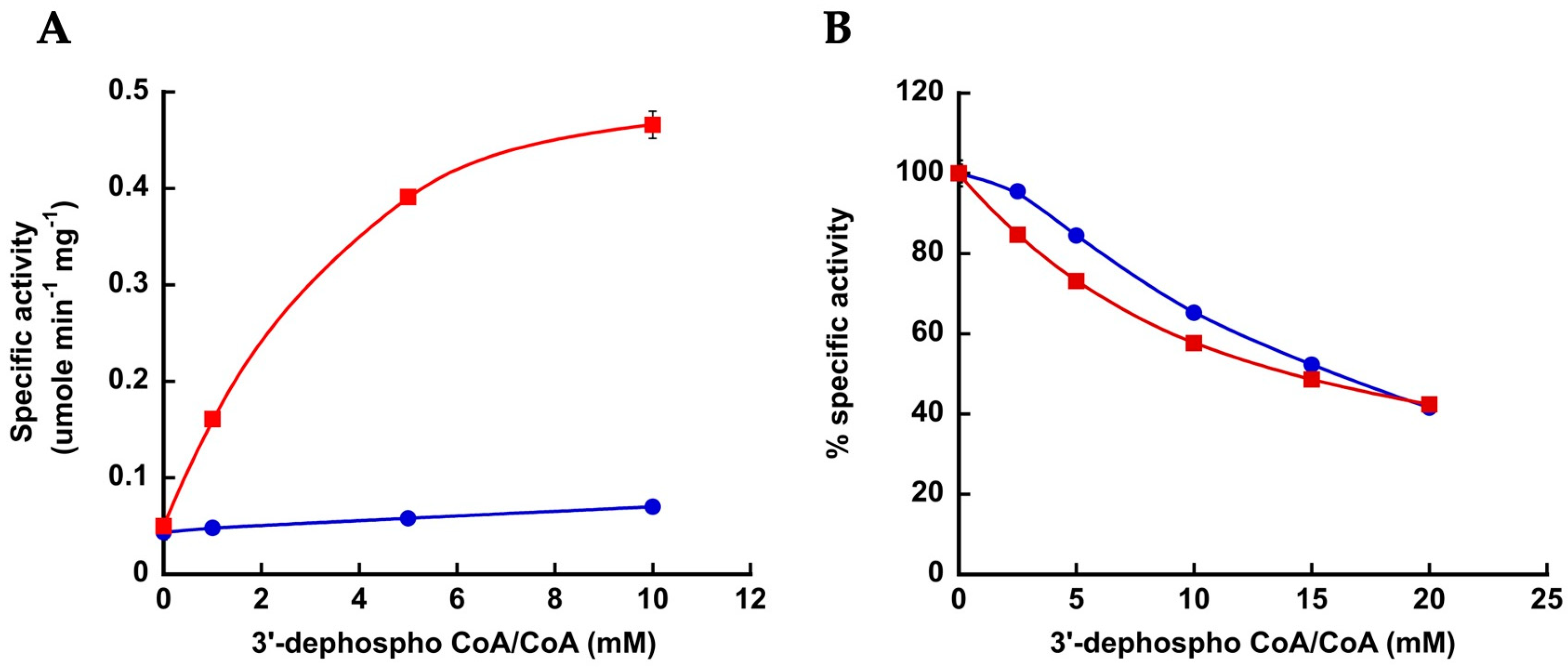 Life 13 01643 g002 Life 13 01643 g002