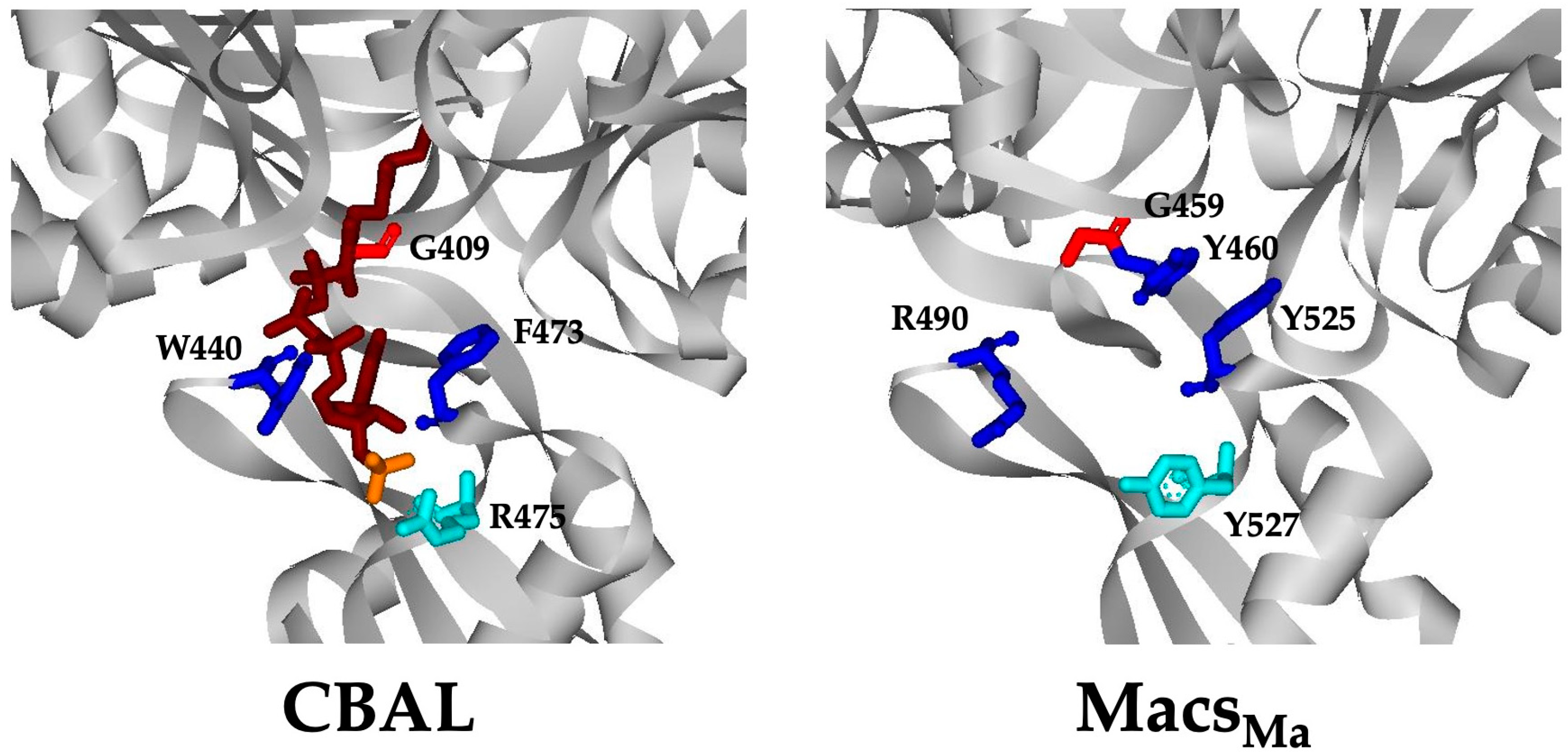 Life 13 01643 g003 Life 13 01643 g003